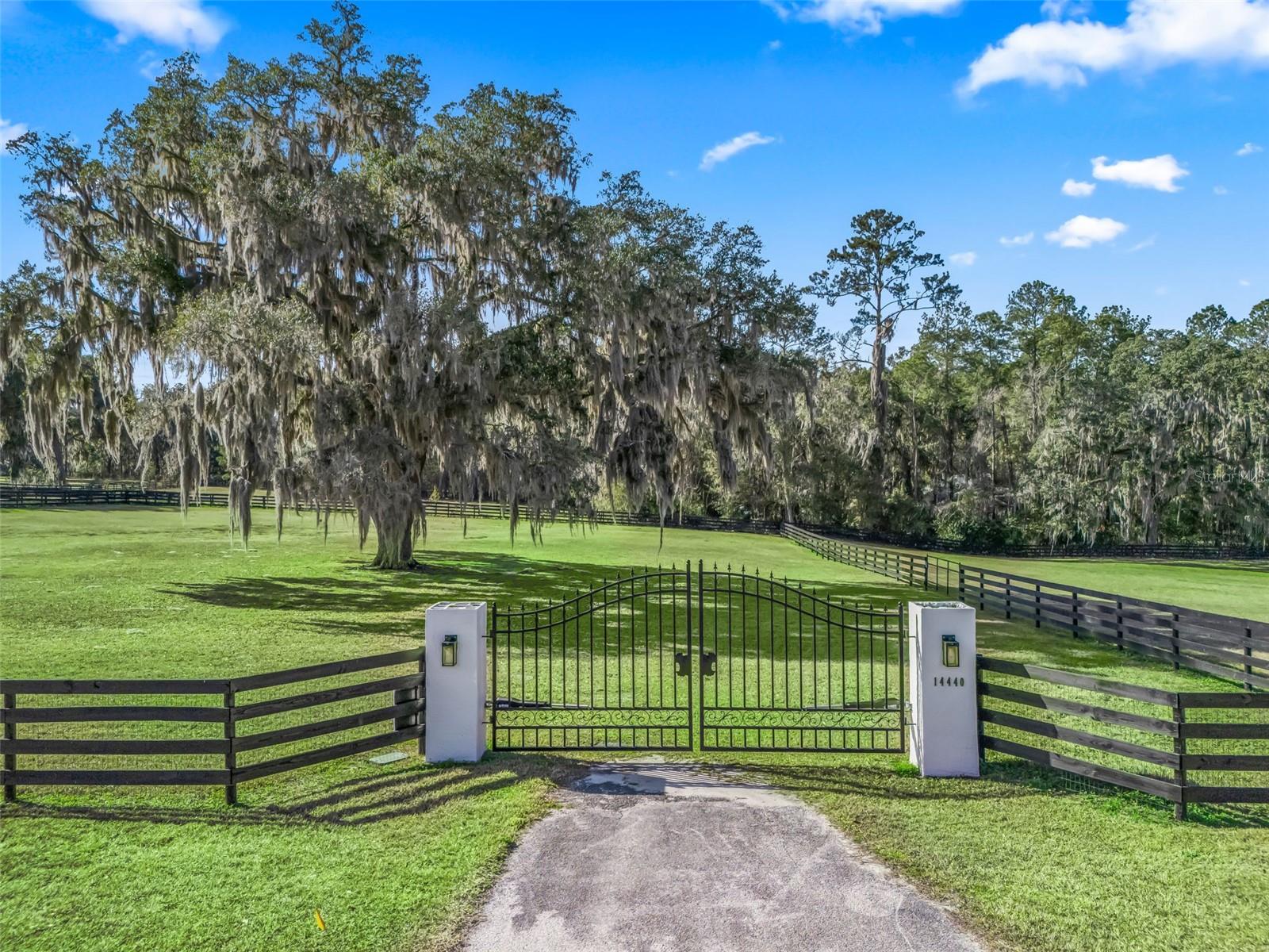 Land at 14440 NW HIGHWAY 225A, REDDICK, photo 3 of 21