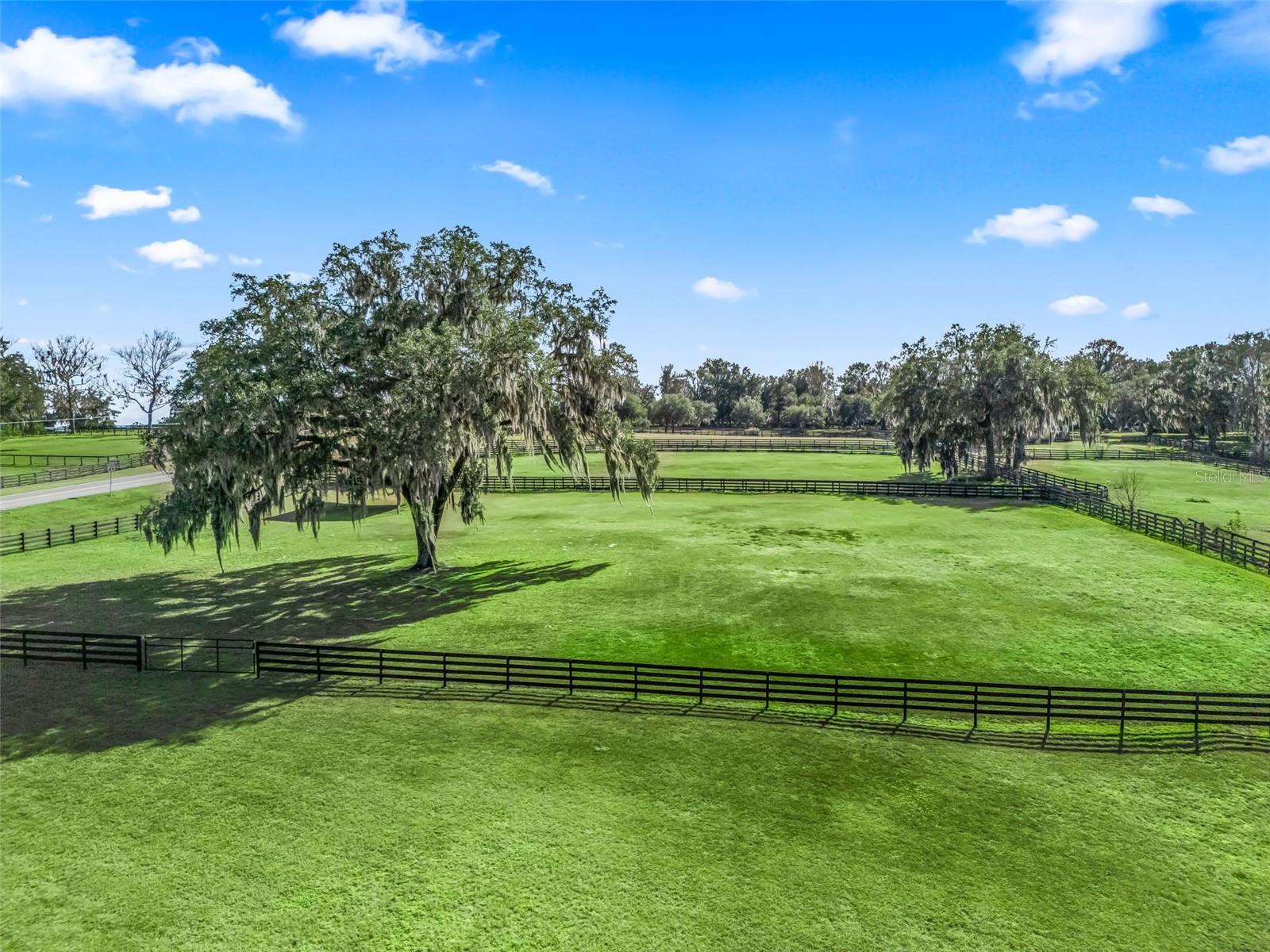 Land at 14440 NW HIGHWAY 225A, REDDICK, photo 7 of 21