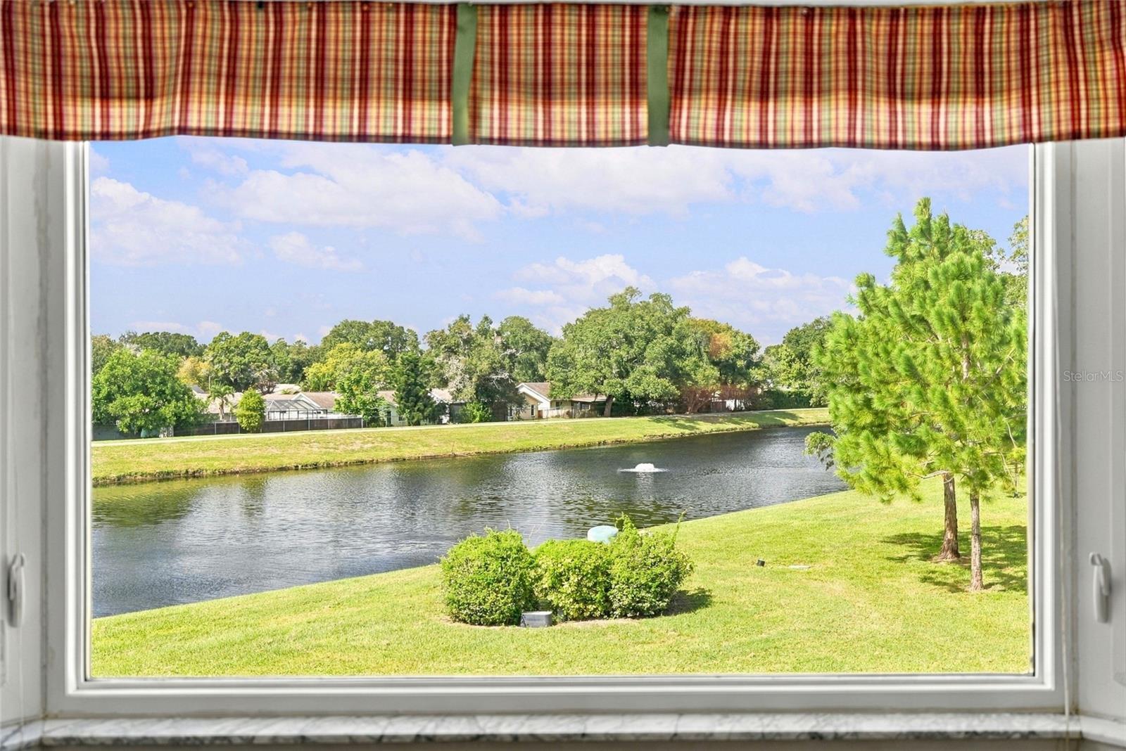 Peaceful & relaxing view out the kitchen window - 2228 SWEDISH DR #22, CLEARWATER