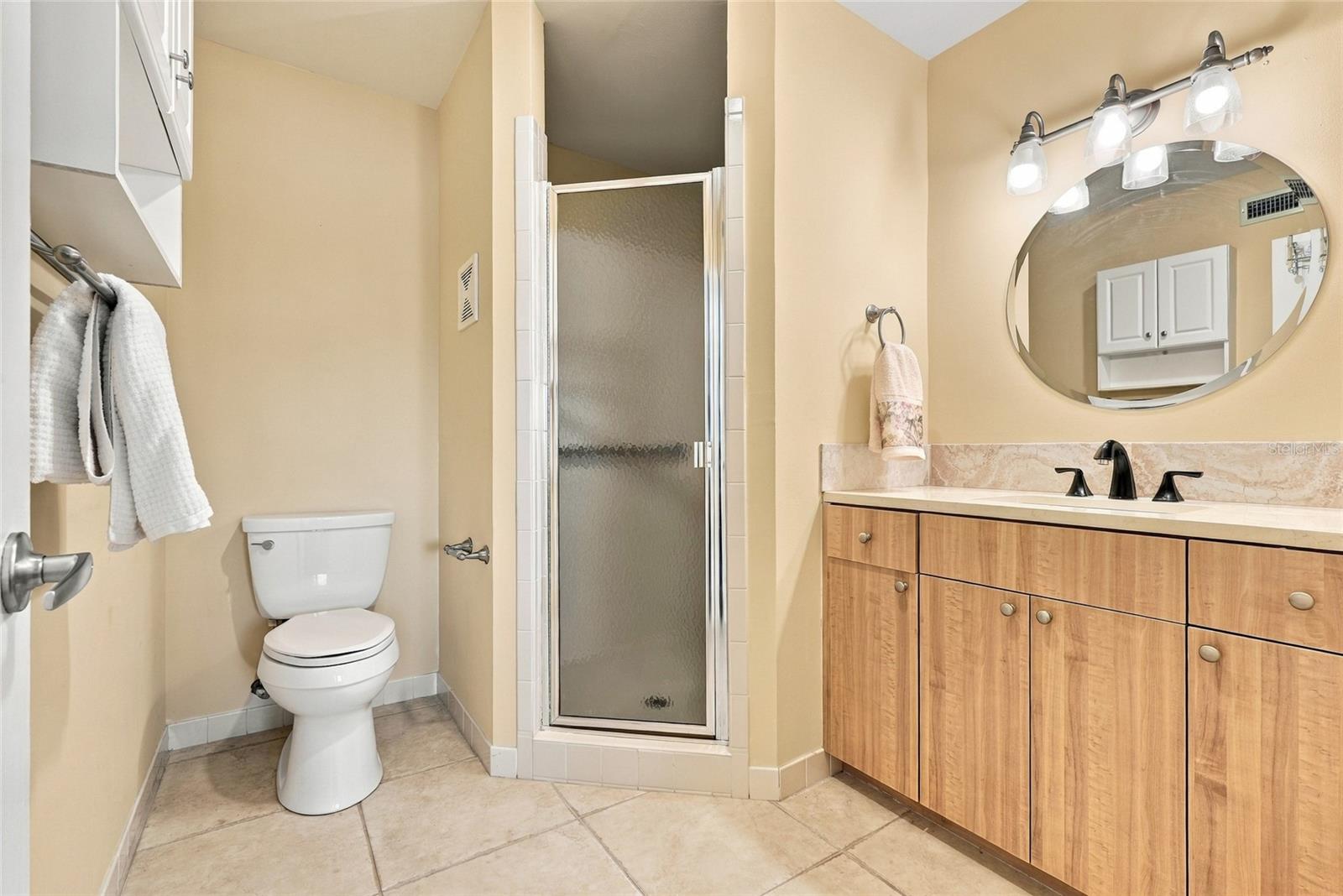 Master bathroom with walk in shower - 2228 SWEDISH DR #22, CLEARWATER