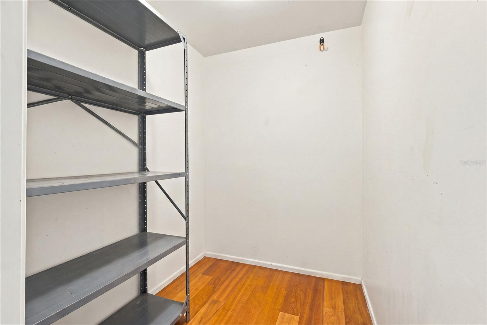 Large walk in storage closet in hallway - 2228 SWEDISH DR #22, CLEARWATER