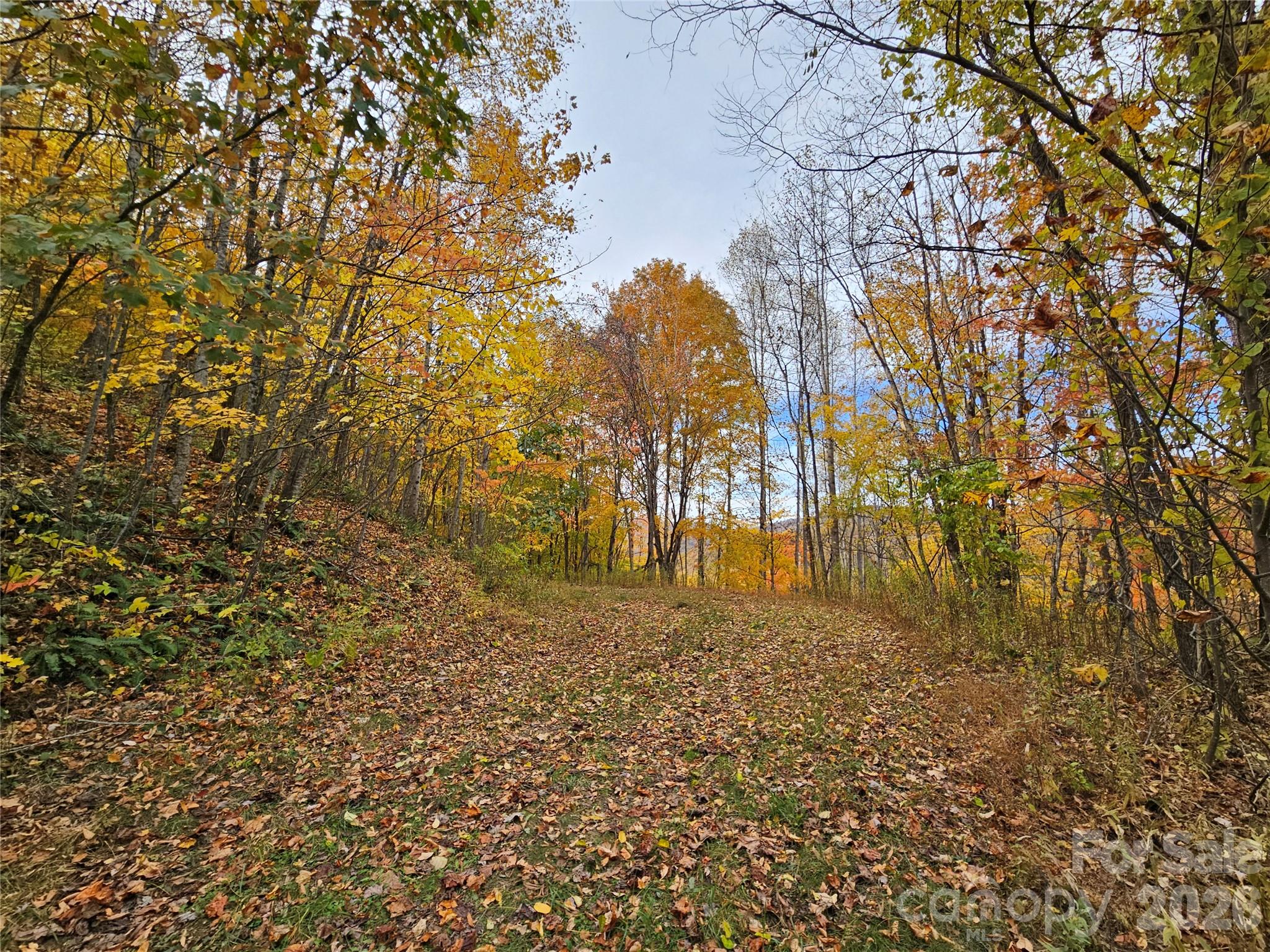 Lot at 00 Sacred Cove Drive, Clyde, photo 2 of 25