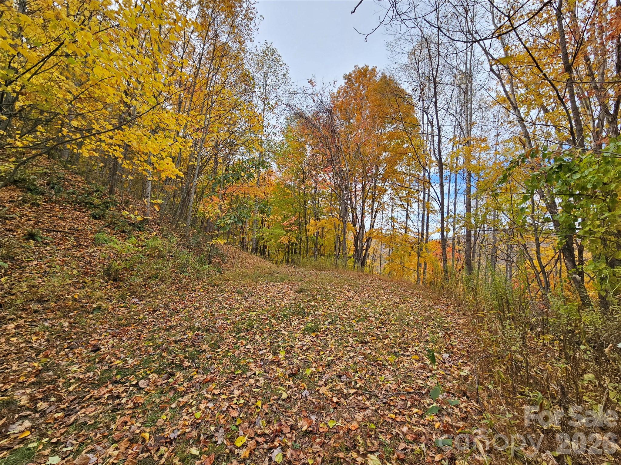 Lot at 00 Sacred Cove Drive, Clyde, photo 3 of 25