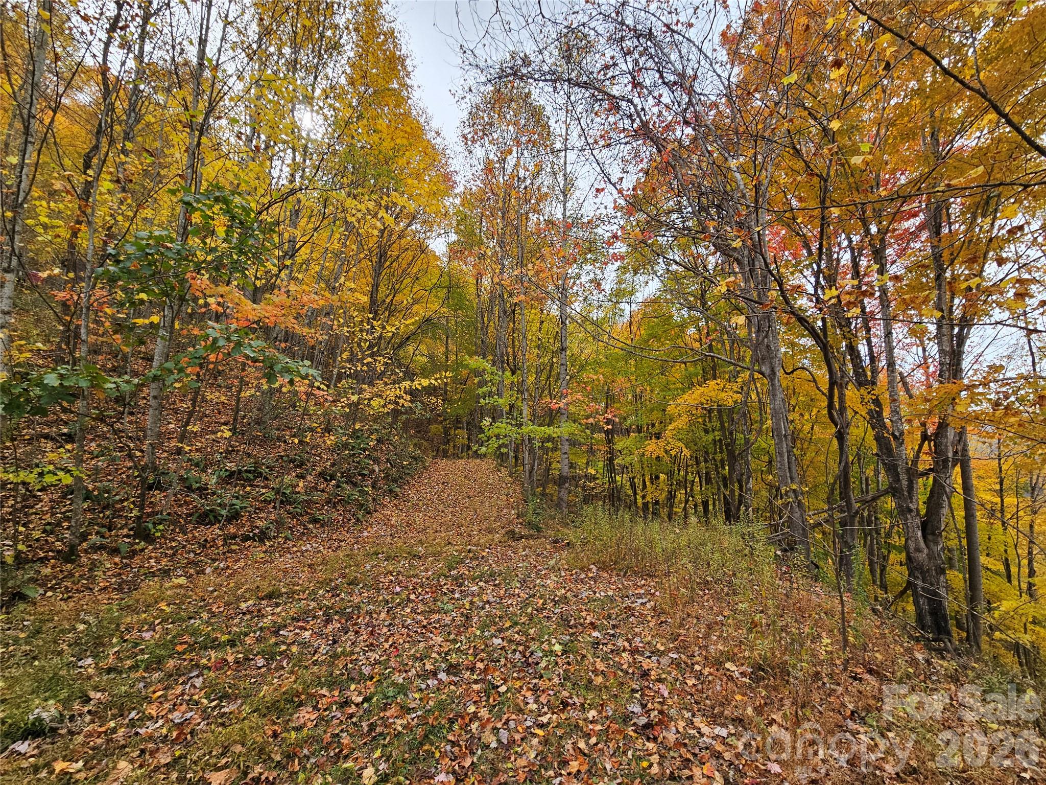 Lot at 00 Sacred Cove Drive, Clyde, photo 4 of 25