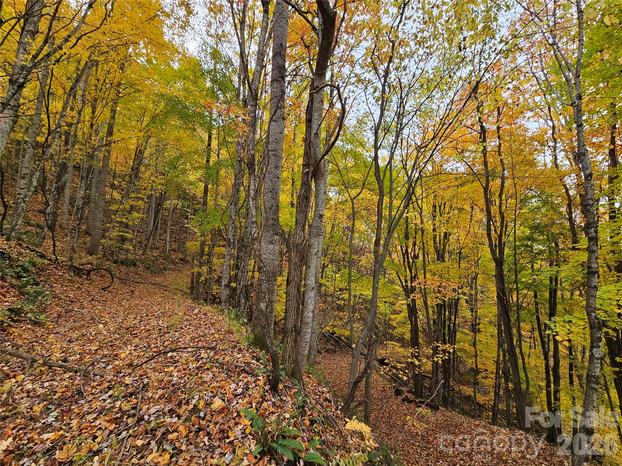 Lot at 00 Sacred Cove Drive, Clyde, photo 5 of 25