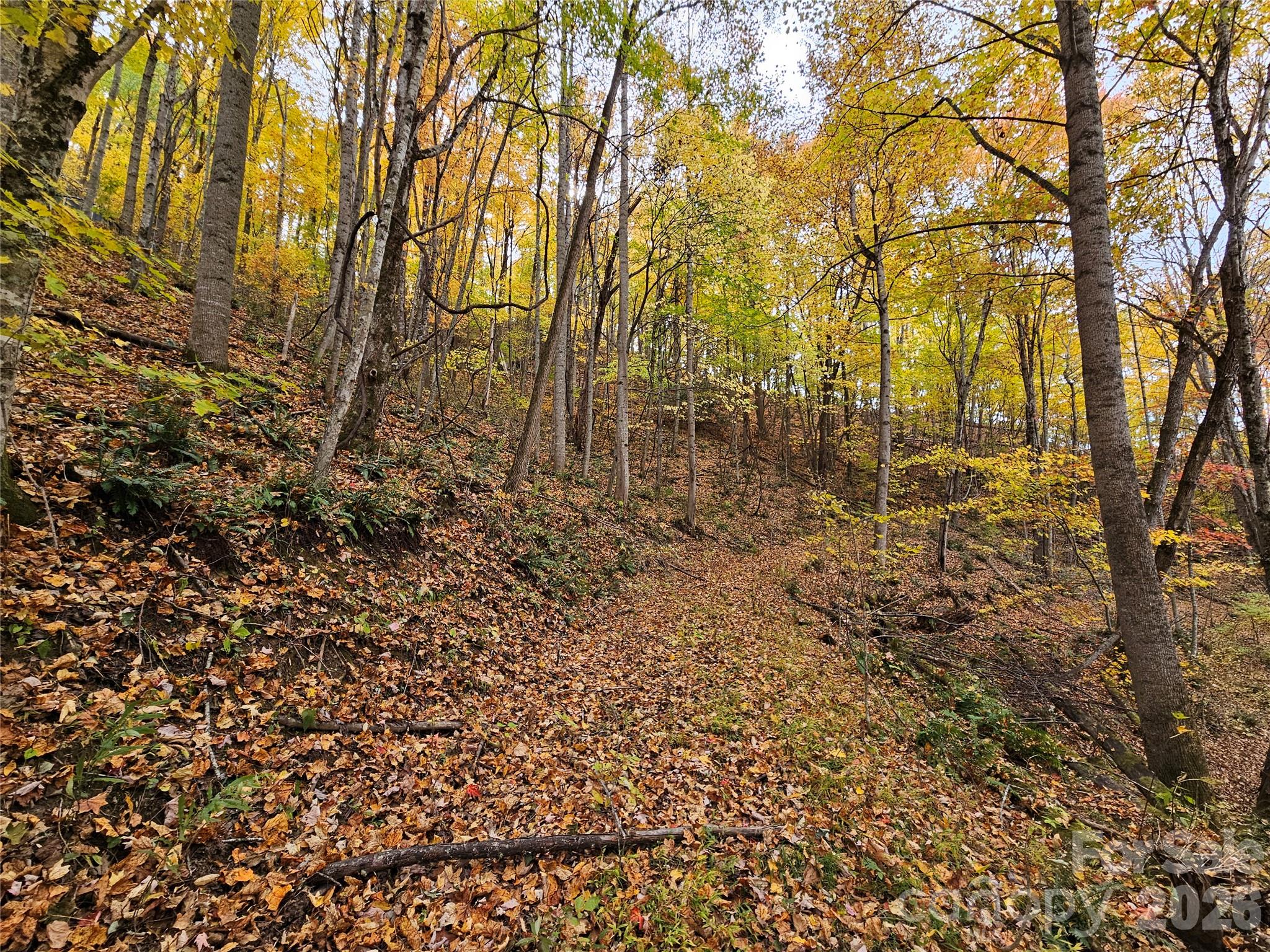 Lot at 00 Sacred Cove Drive, Clyde, photo 7 of 25
