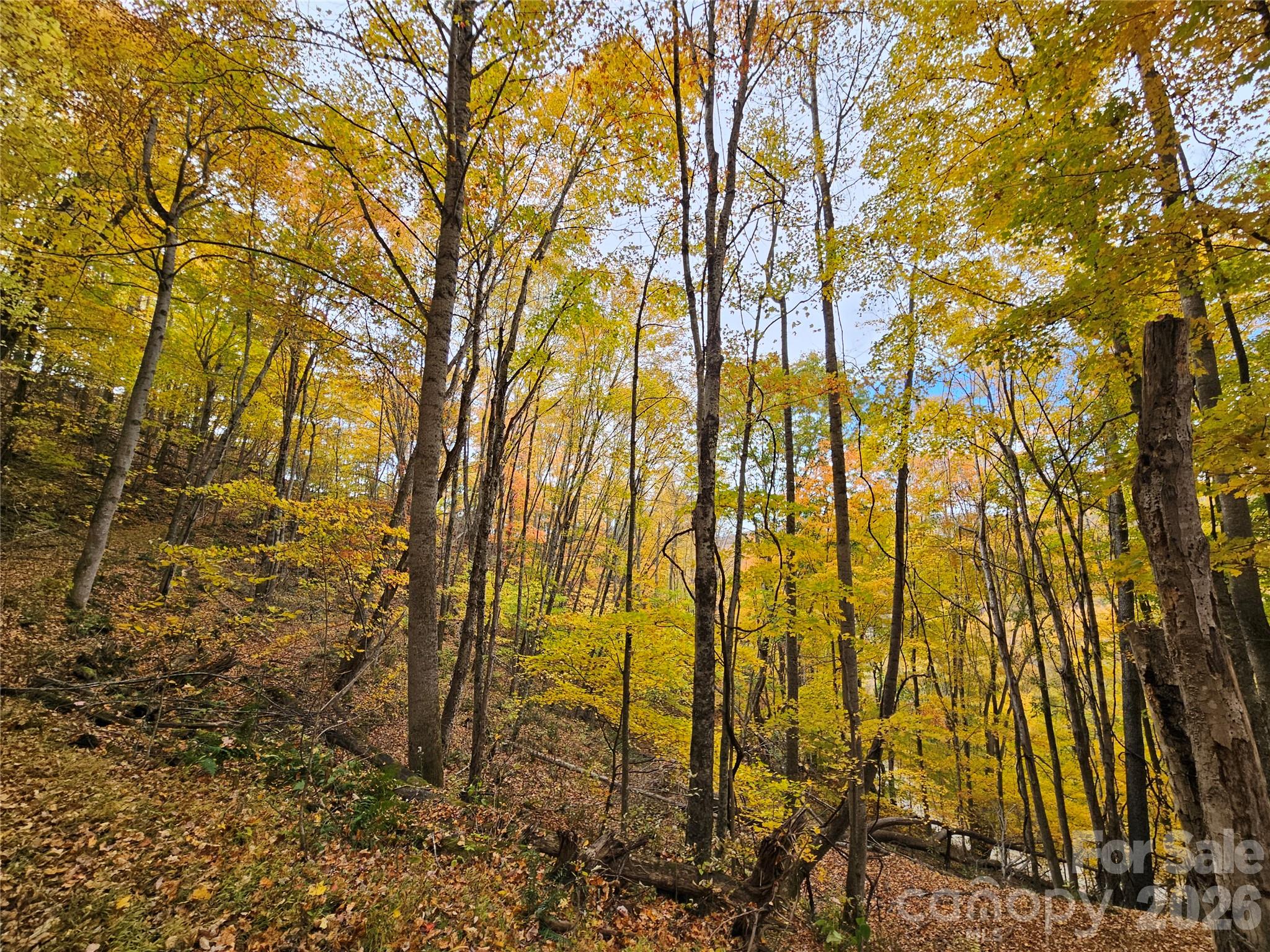 Lot at 00 Sacred Cove Drive, Clyde, photo 8 of 25