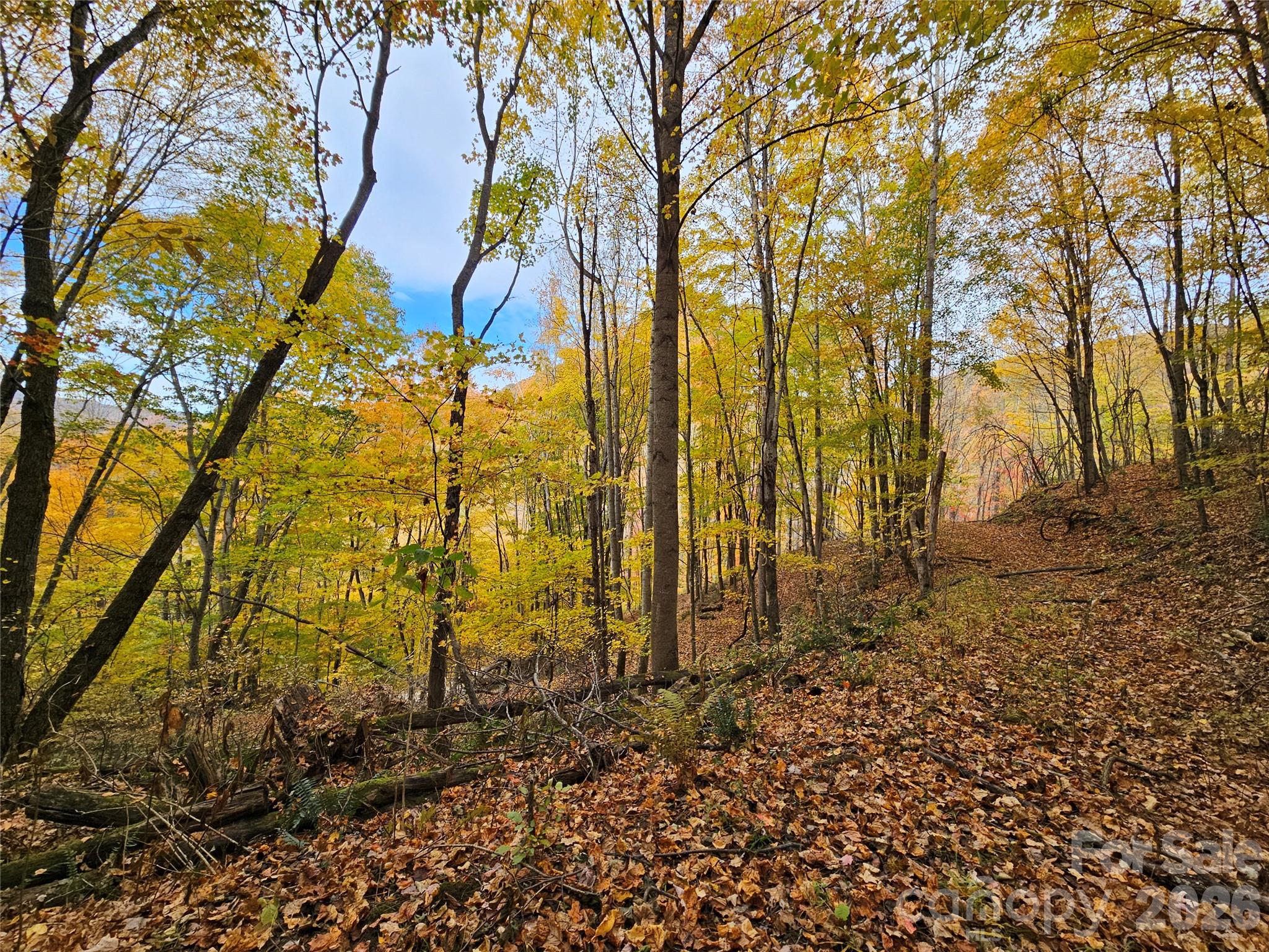 Lot at 00 Sacred Cove Drive, Clyde, photo 9 of 25