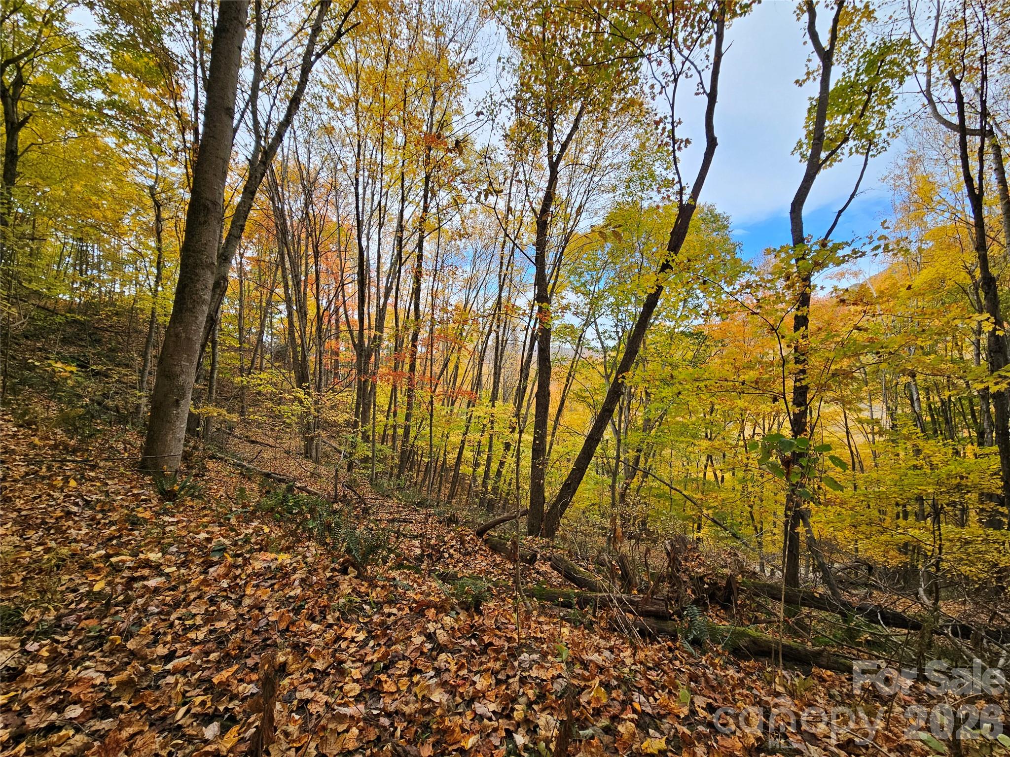 Lot at 00 Sacred Cove Drive, Clyde, photo 10 of 25