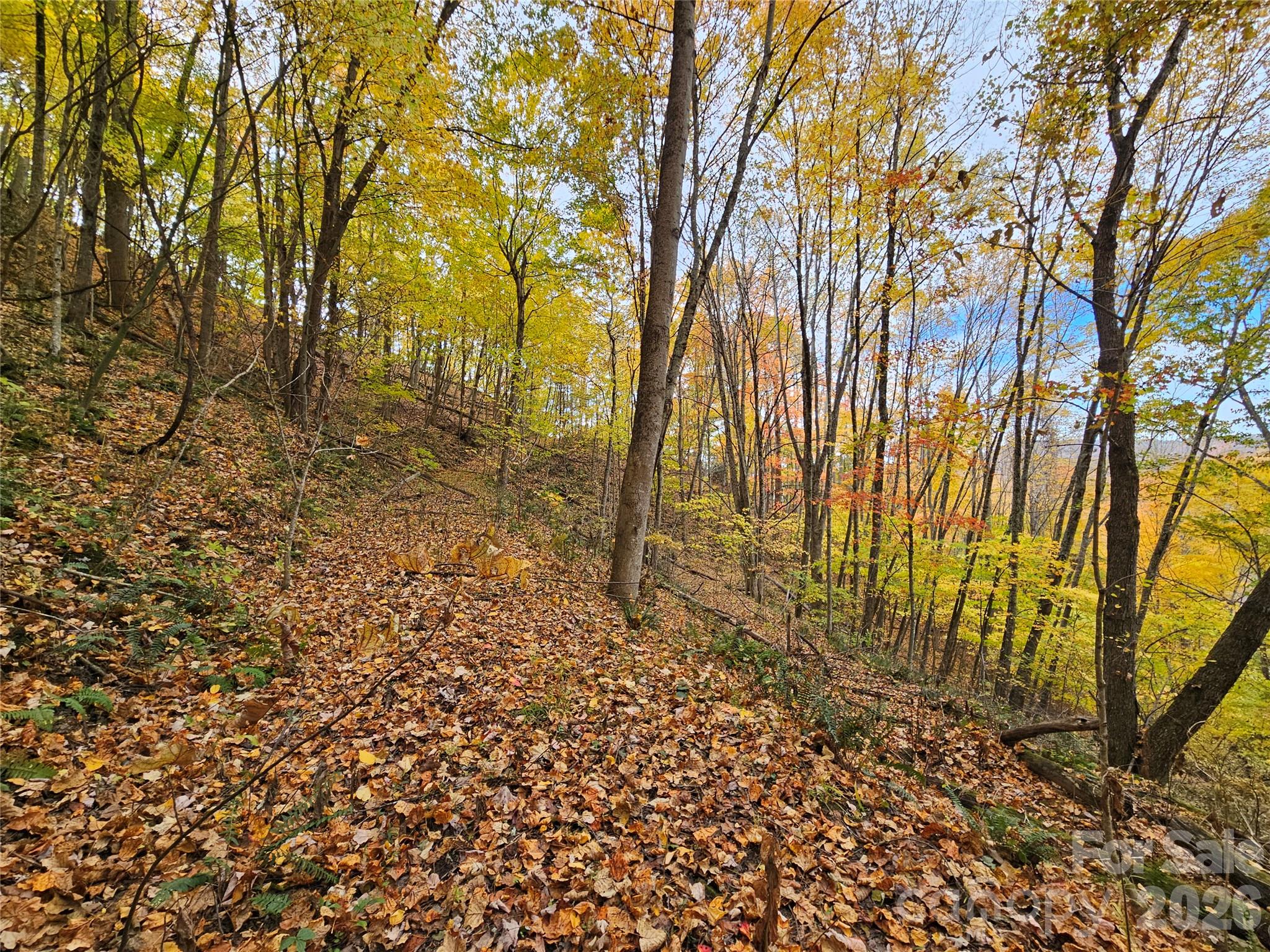Lot at 00 Sacred Cove Drive, Clyde, photo 11 of 25
