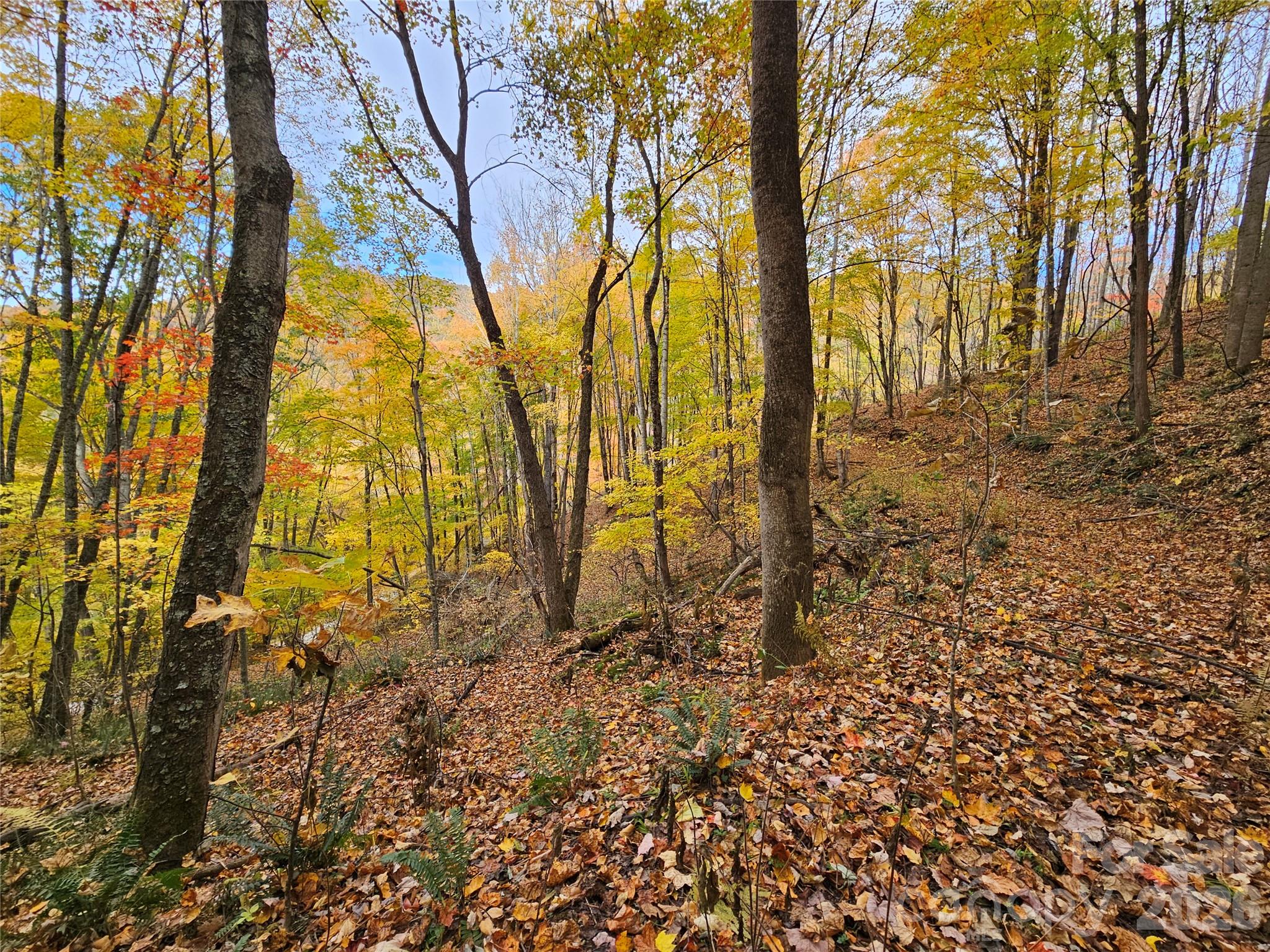 Lot at 00 Sacred Cove Drive, Clyde, photo 12 of 25