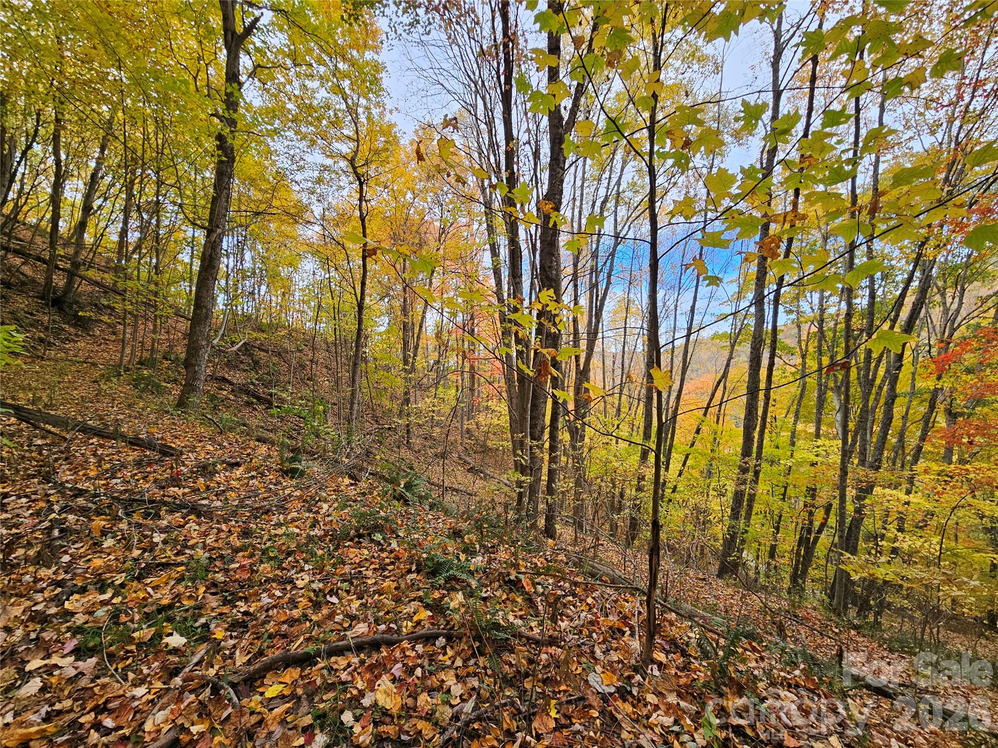 Lot at 00 Sacred Cove Drive, Clyde, photo 13 of 25