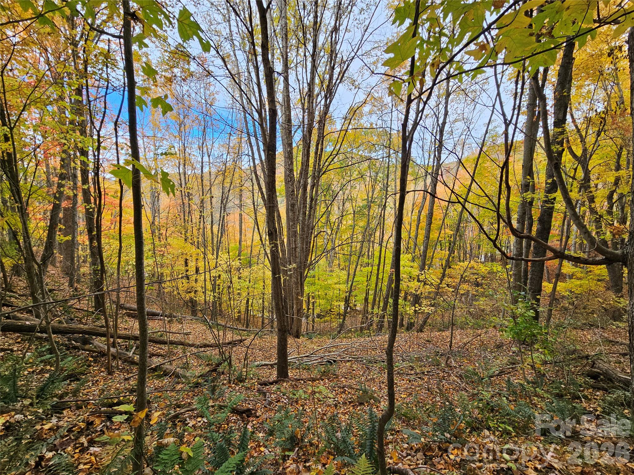 Lot at 00 Sacred Cove Drive, Clyde, photo 14 of 25