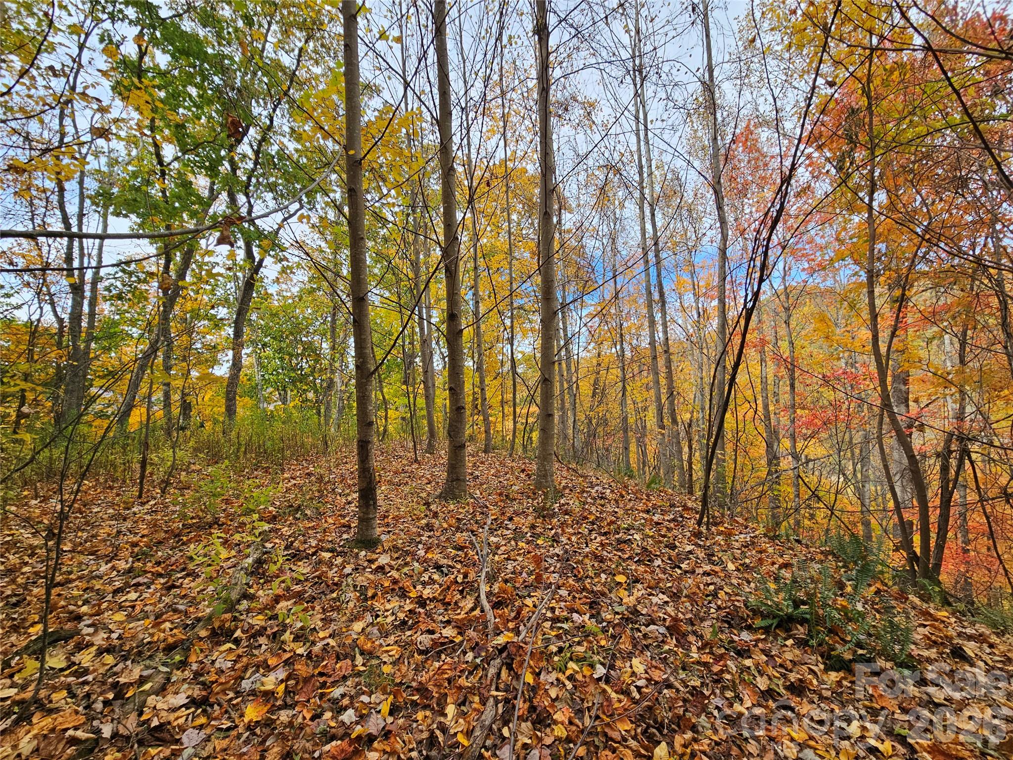 Lot at 00 Sacred Cove Drive, Clyde, photo 15 of 25