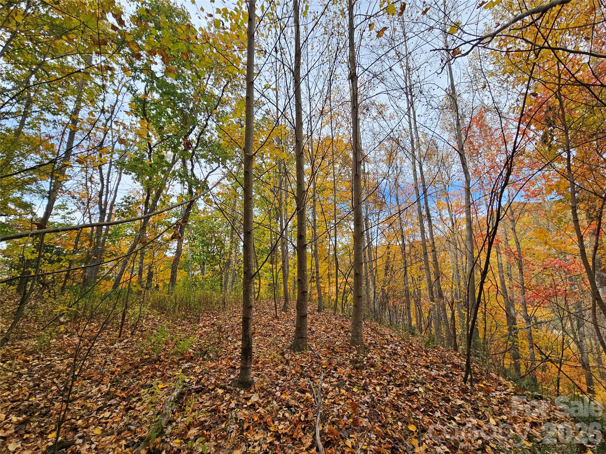 Lot at 00 Sacred Cove Drive, Clyde, photo 16 of 25