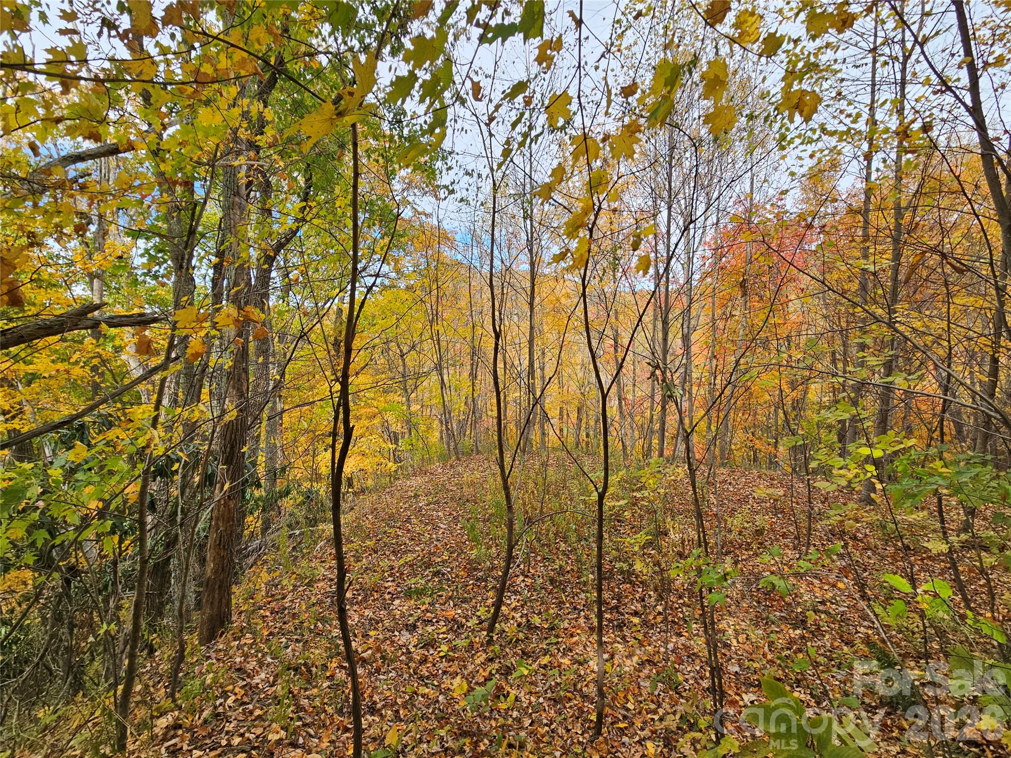 Lot at 00 Sacred Cove Drive, Clyde, photo 17 of 25
