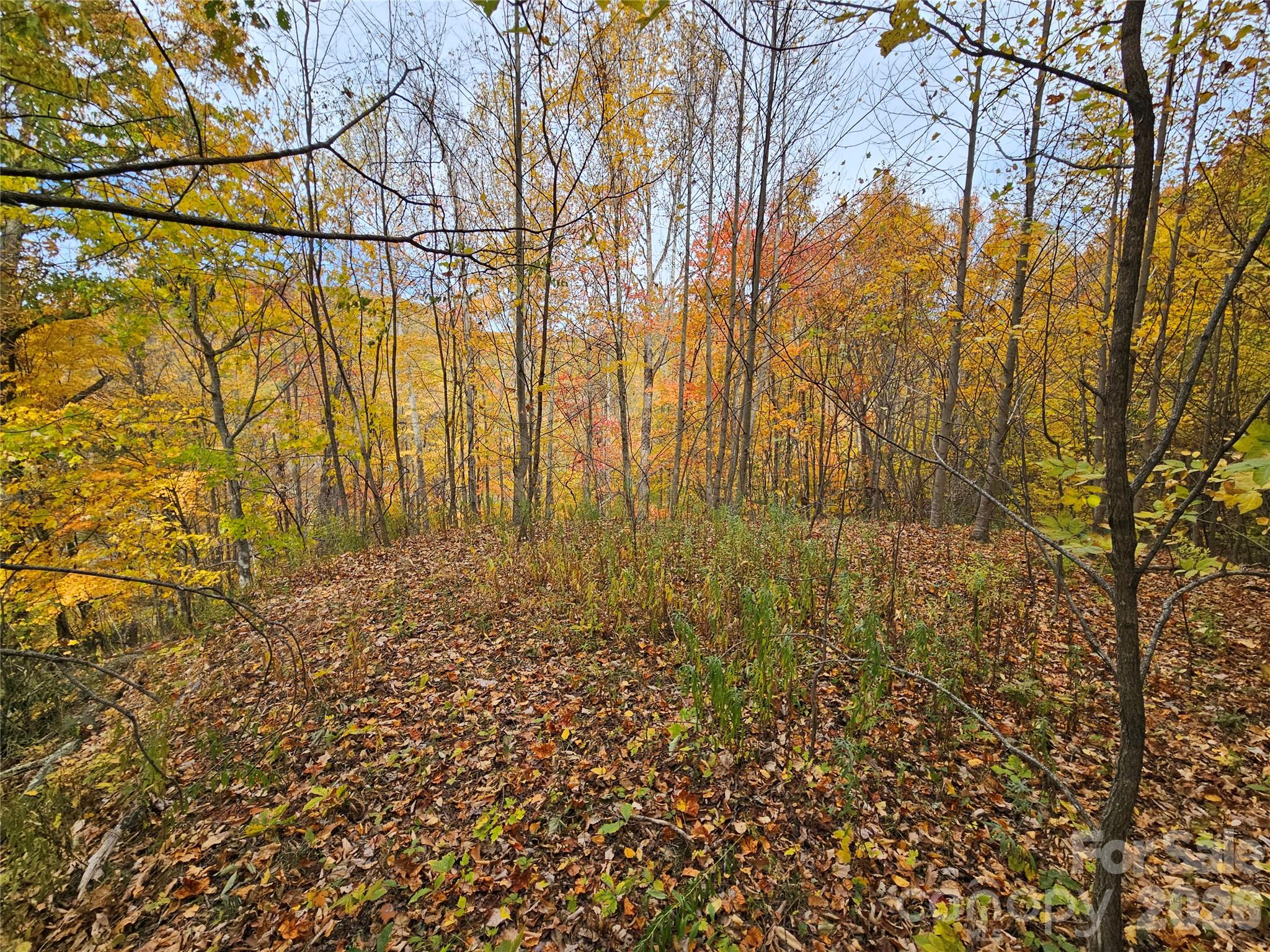 Lot at 00 Sacred Cove Drive, Clyde, photo 18 of 25