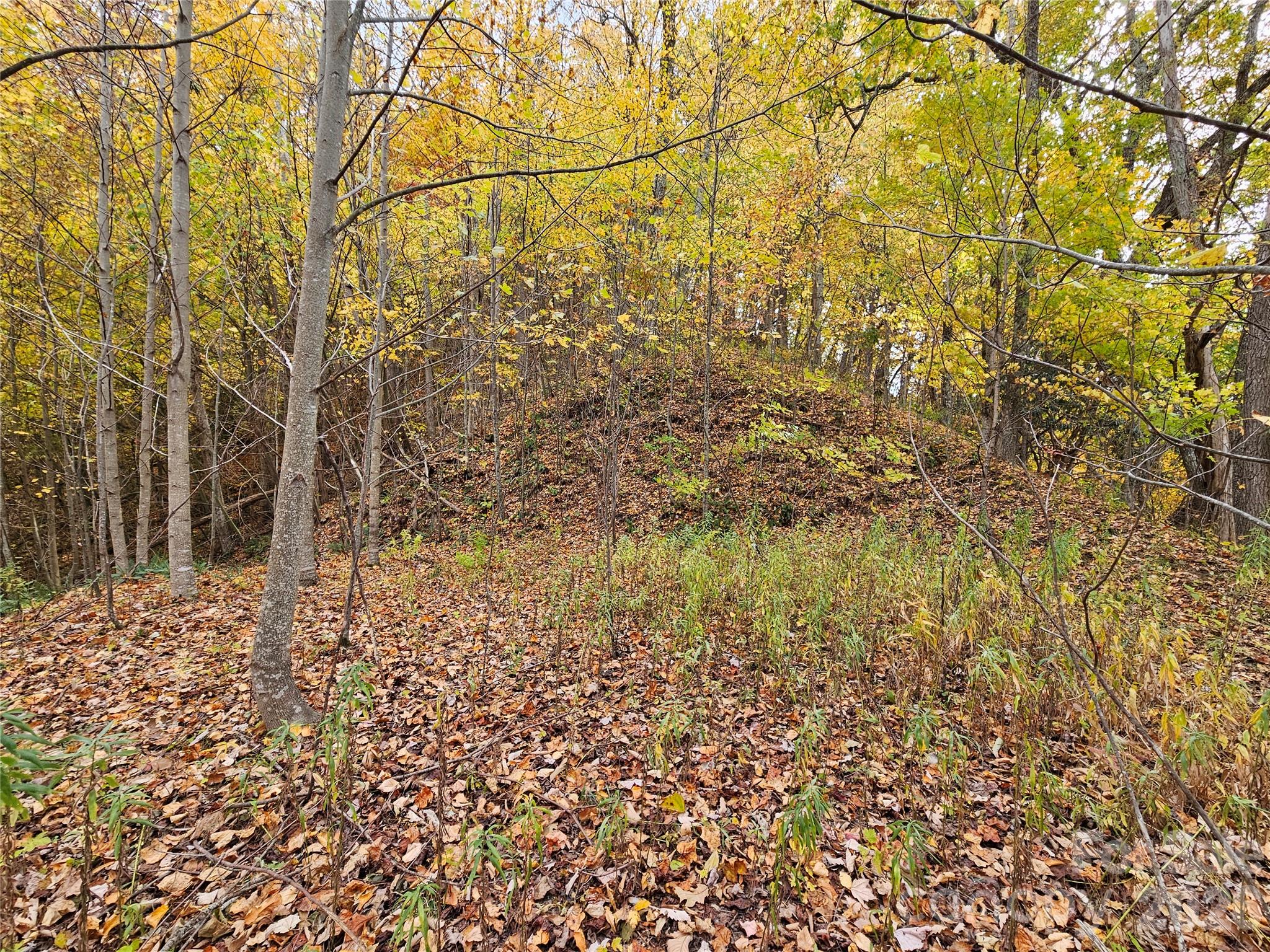 Lot at 00 Sacred Cove Drive, Clyde, photo 19 of 25