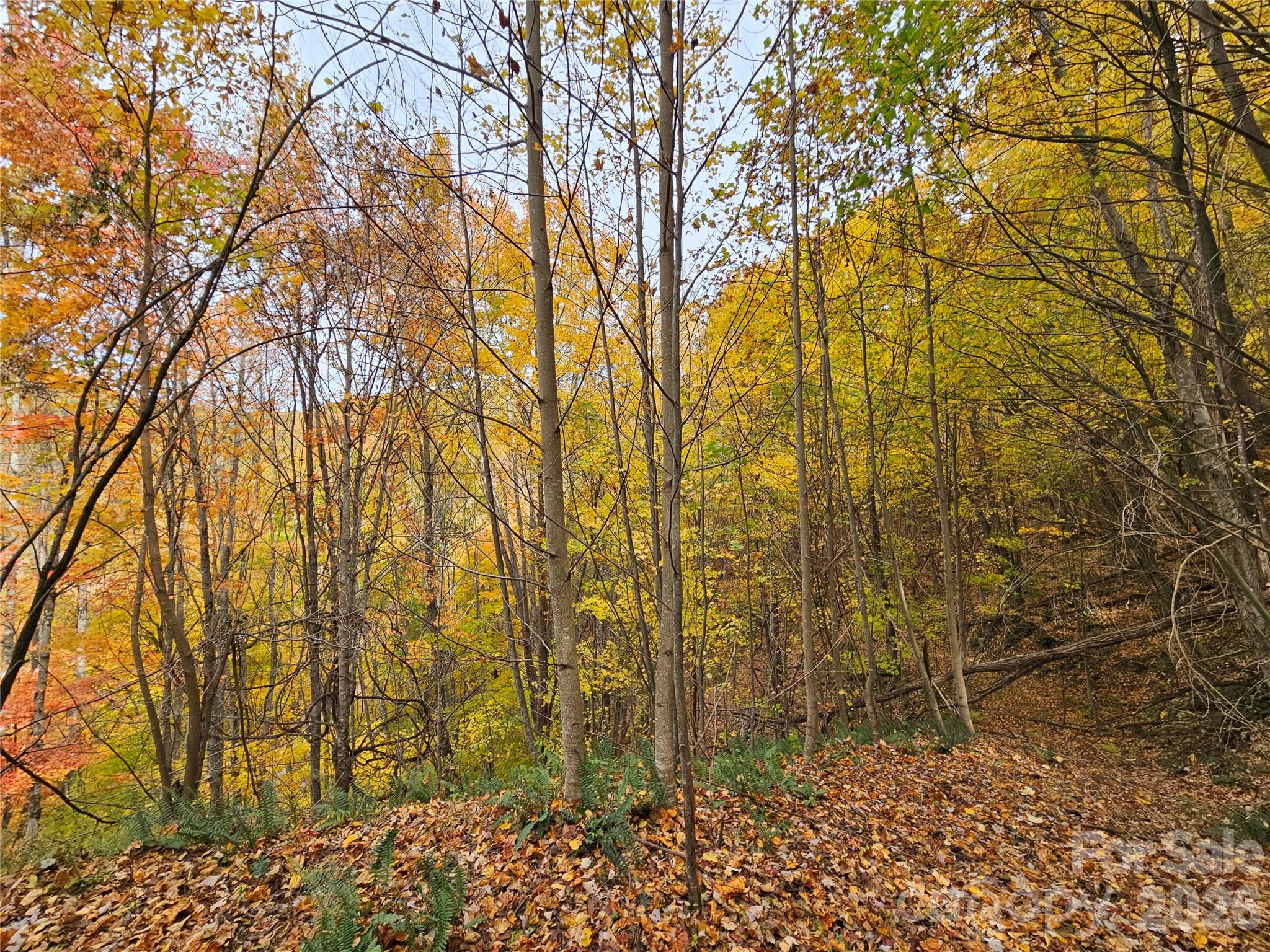Lot at 00 Sacred Cove Drive, Clyde, photo 20 of 25