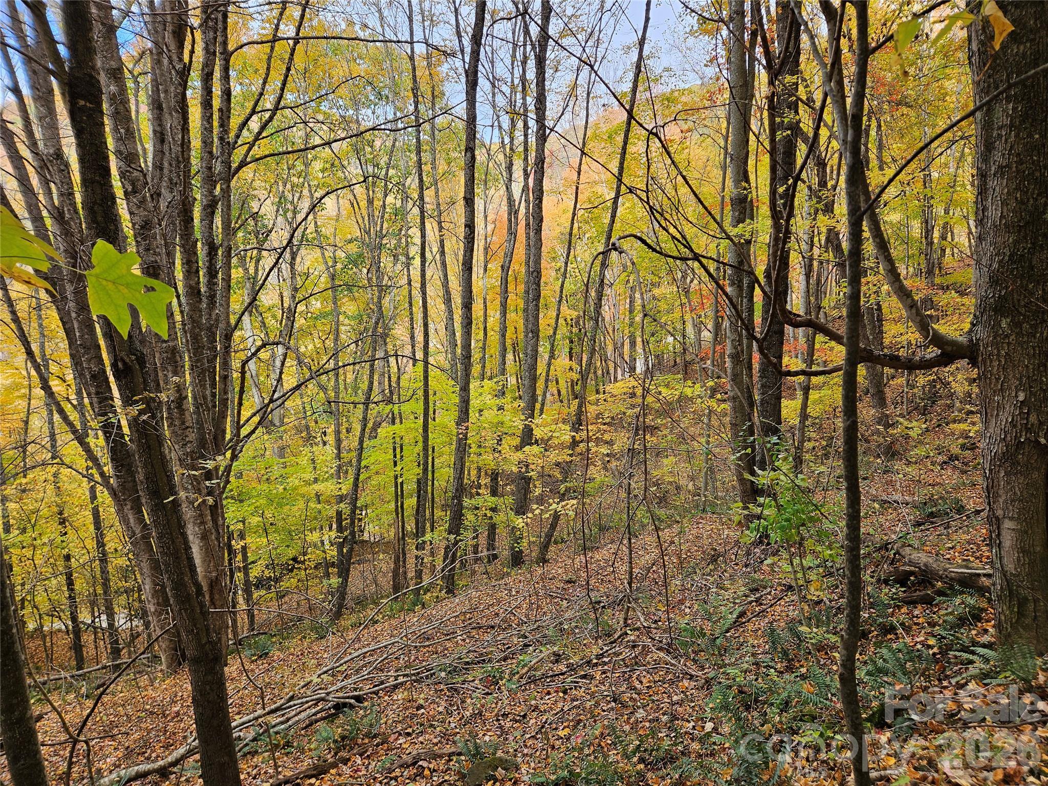 Lot at 00 Sacred Cove Drive, Clyde, photo 21 of 25