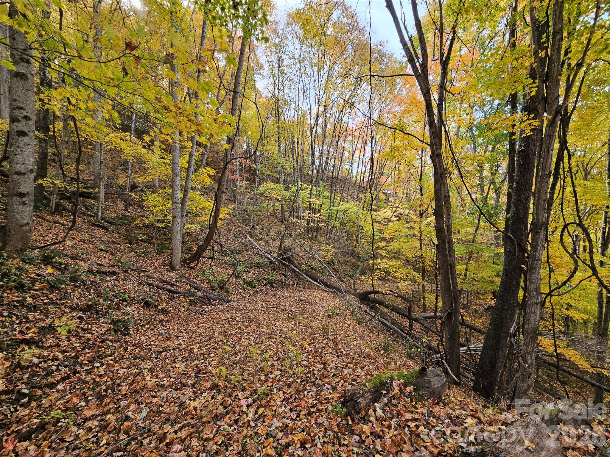 Lot at 00 Sacred Cove Drive, Clyde, photo 22 of 25