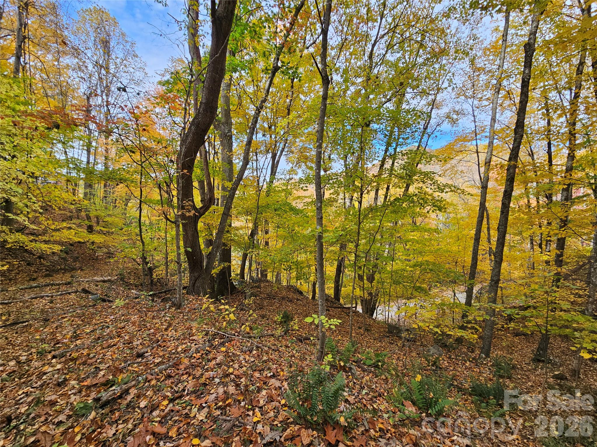 Lot at 00 Sacred Cove Drive, Clyde, photo 23 of 25