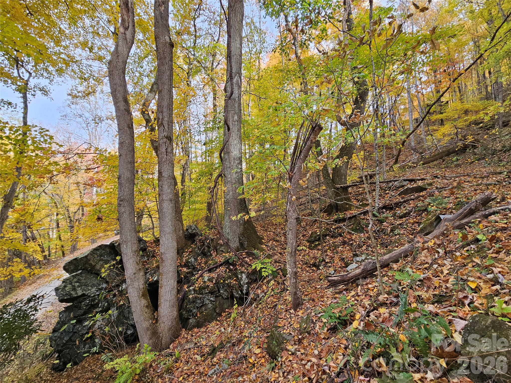 Lot at 00 Sacred Cove Drive, Clyde, photo 24 of 25
