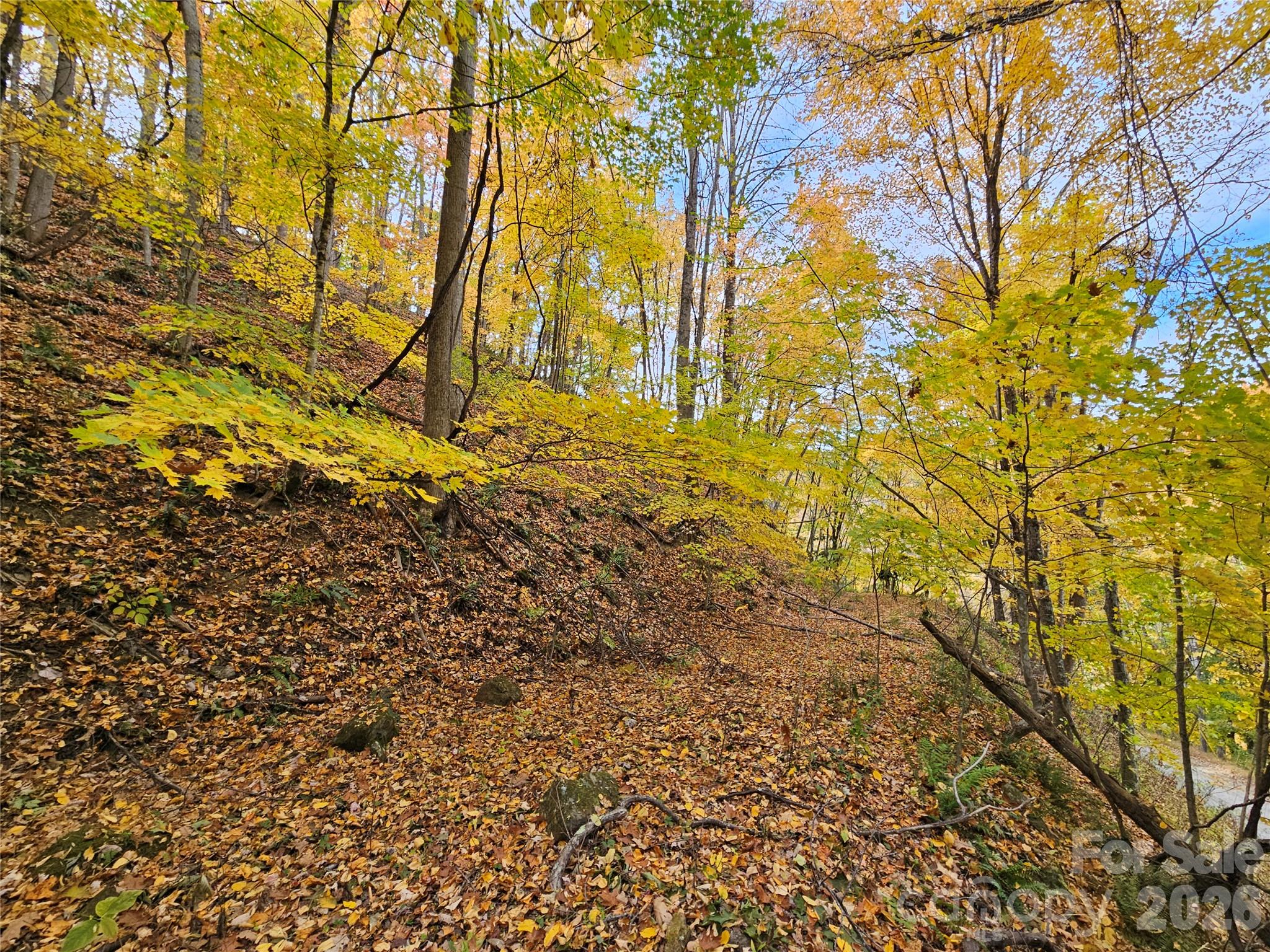 Lot at 00 Sacred Cove Drive, Clyde, photo 25 of 25