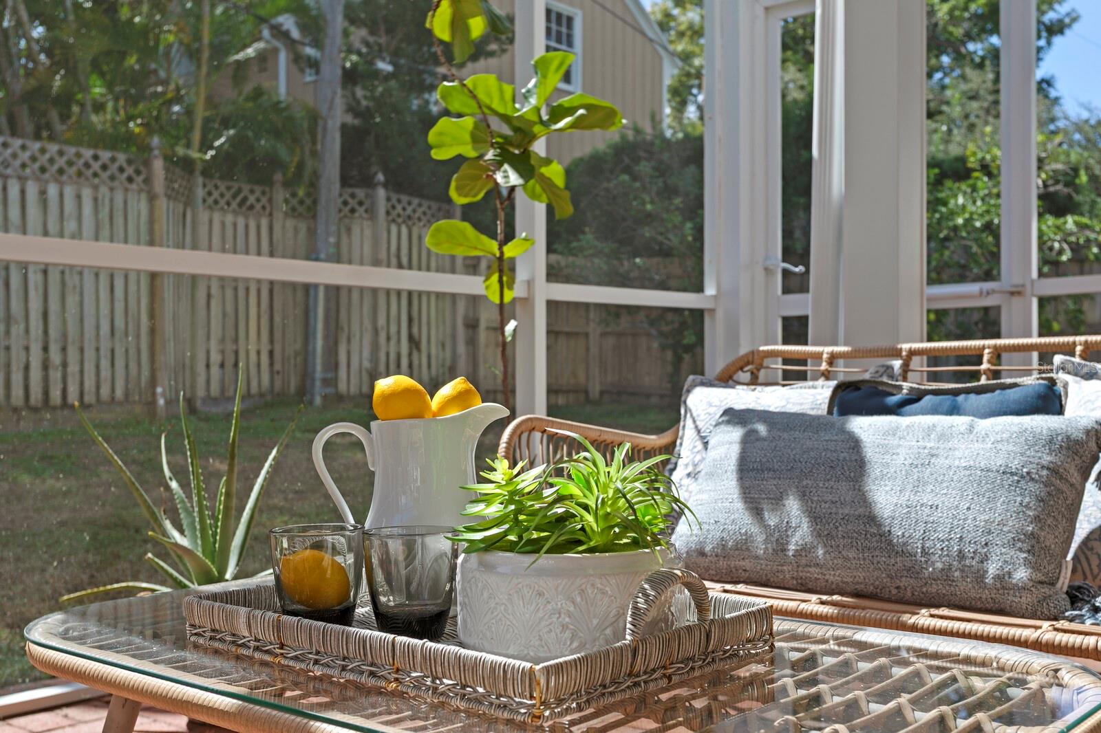 Outside enclosed lanai - 2930 W BAYSHORE CT, TAMPA
