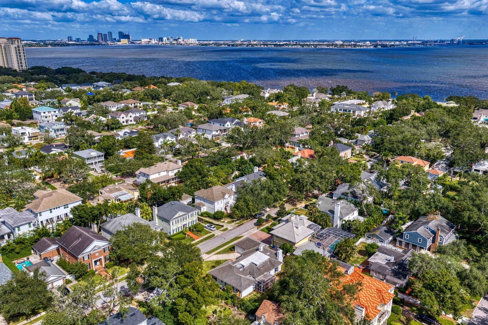 Look how close to the water! - 2930 W BAYSHORE CT, TAMPA