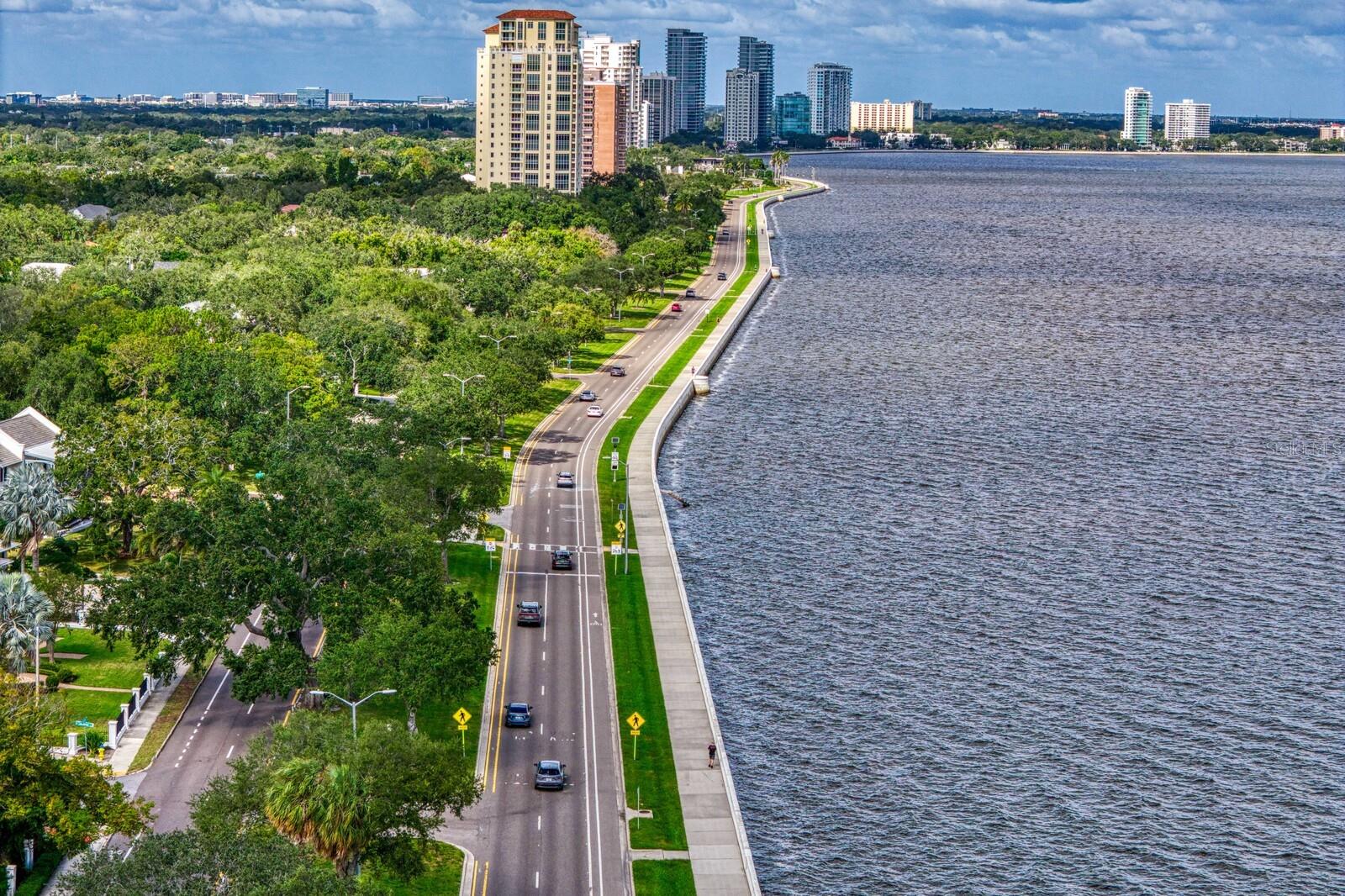 Walking distance to the bayshore - 2930 W BAYSHORE CT, TAMPA