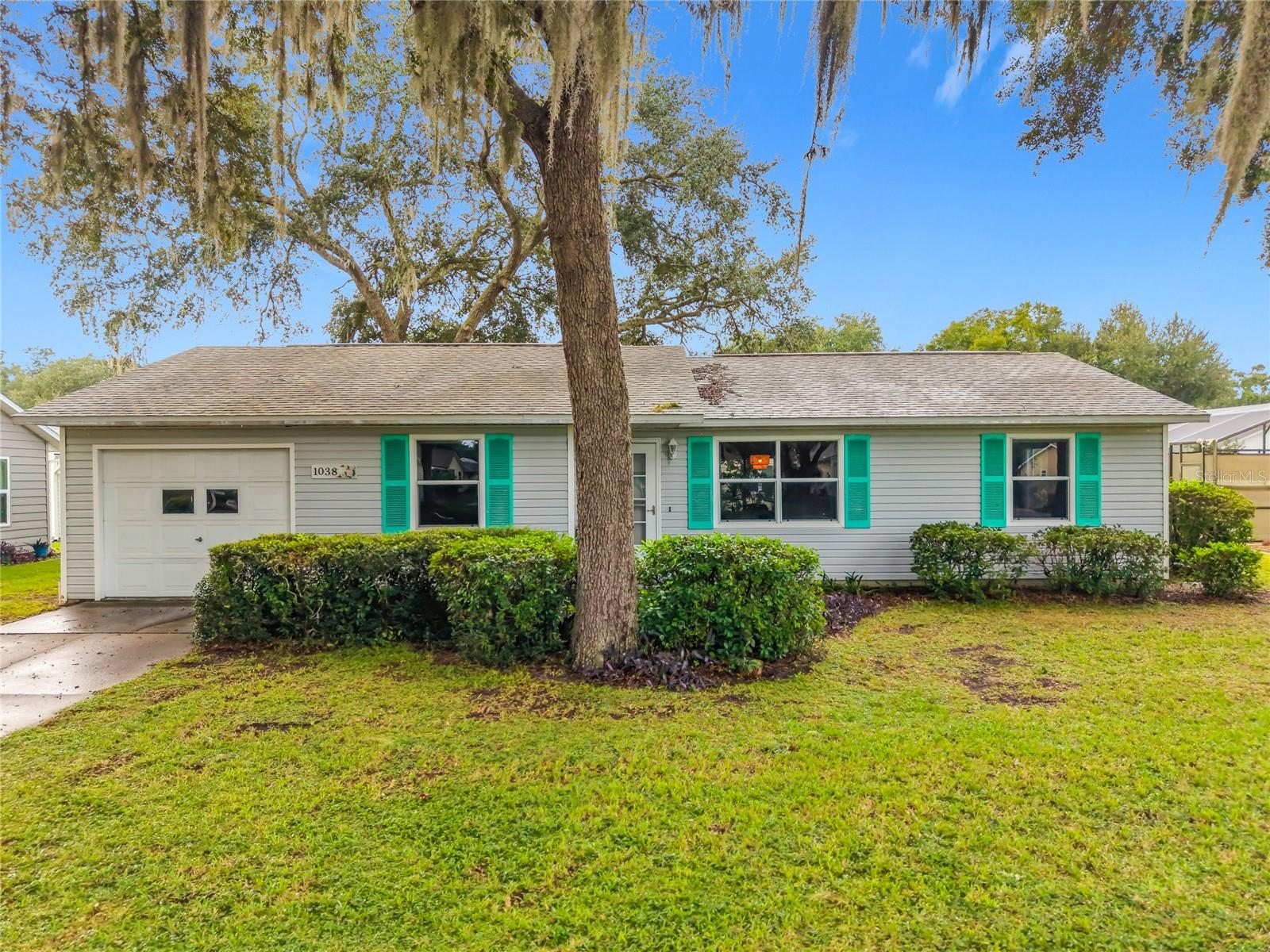 1038 SCOTCH PINE CT