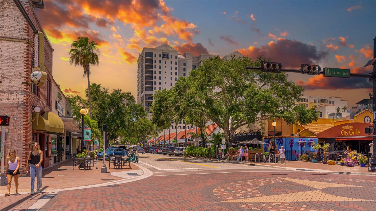 Downtown Sarasota - 3787 EAGLE HAMMOCK DR, SARASOTA
