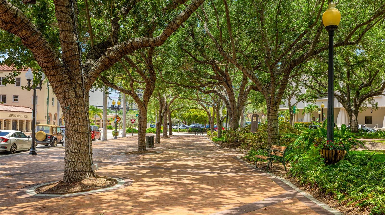 Downtown Sarasota - 3787 EAGLE HAMMOCK DR, SARASOTA