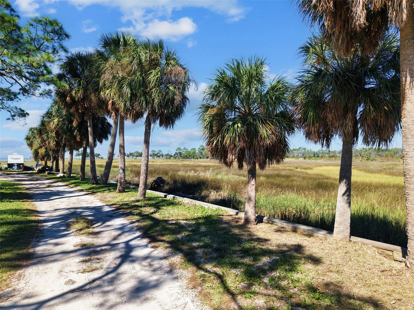 Land at 4 MAIN ST, HORSESHOE BEACH, photo 4 of 22