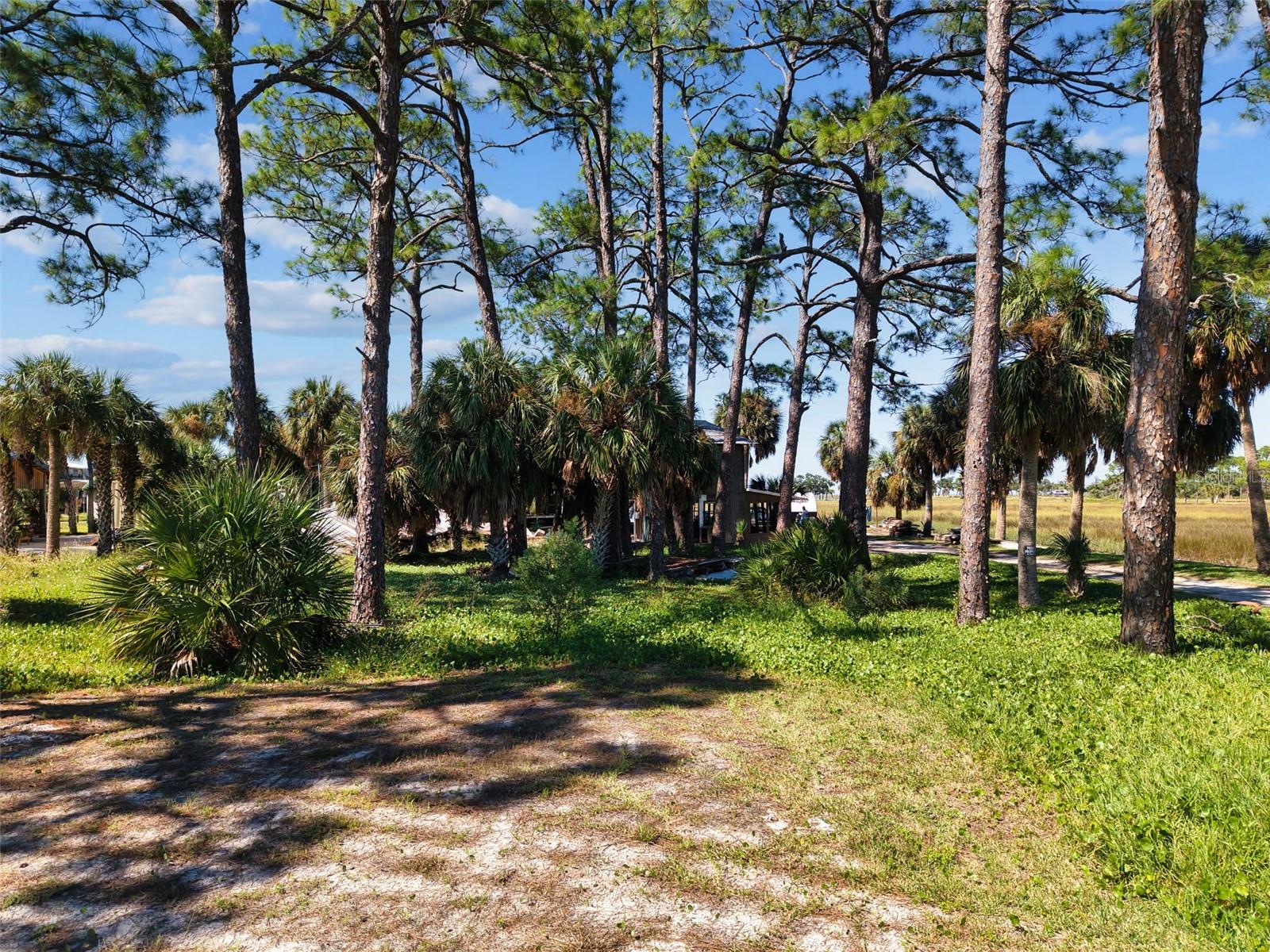Land at 4 MAIN ST, HORSESHOE BEACH, photo 6 of 22