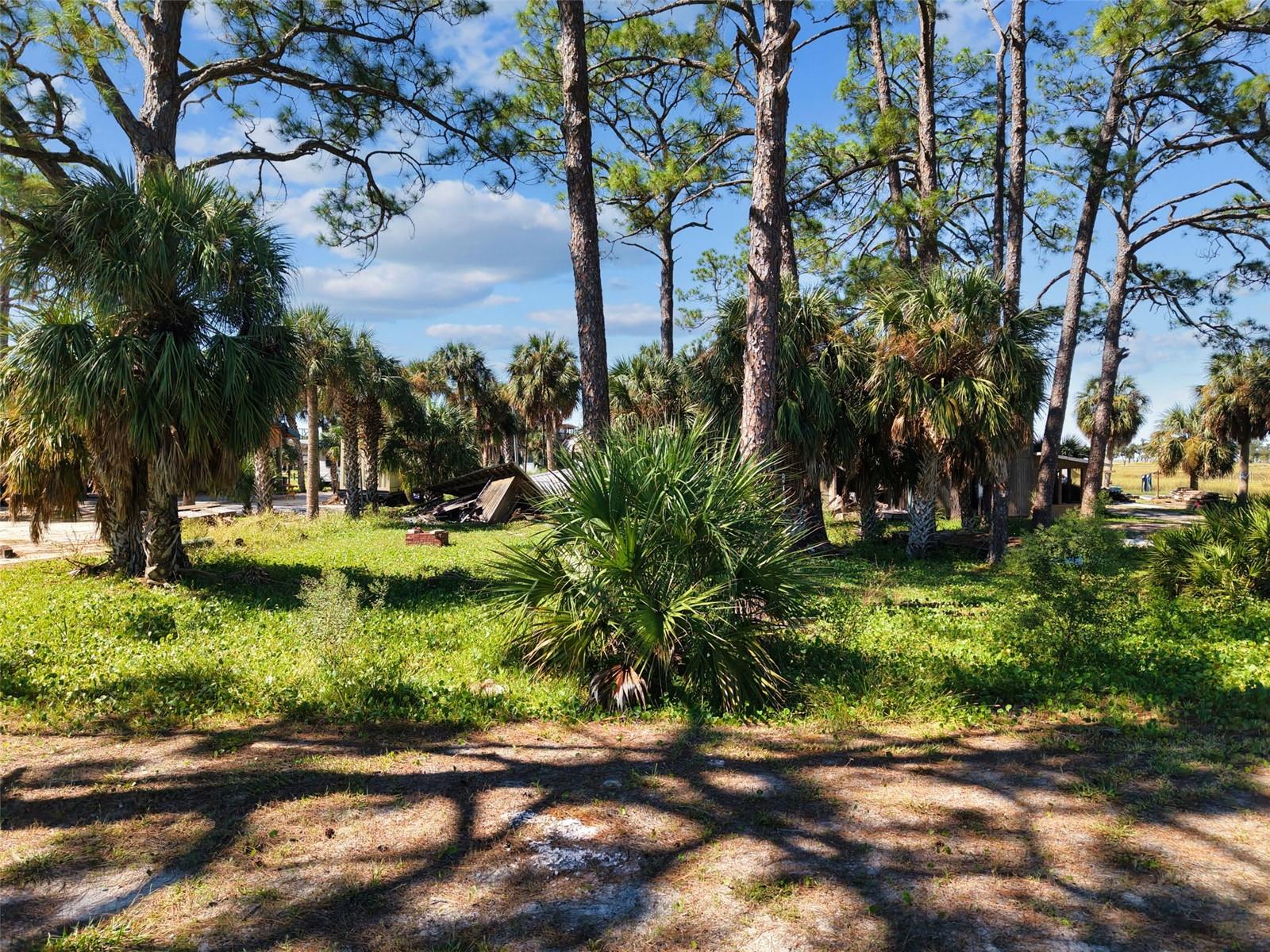Land at 4 MAIN ST, HORSESHOE BEACH, photo 7 of 22