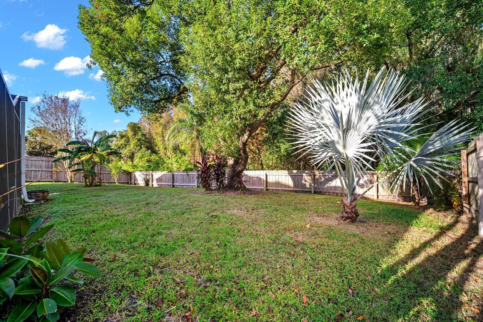 Single Family Residence at 18113 PALM BREEZE DR, TAMPA, photo 32 of 37