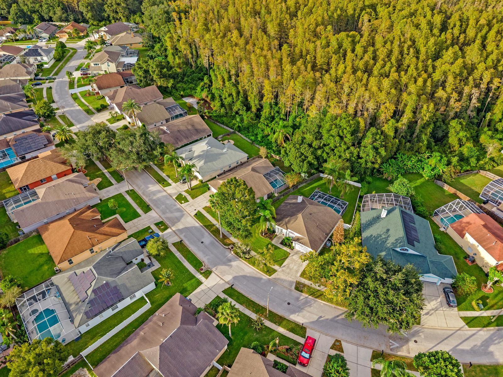 Single Family Residence at 18113 PALM BREEZE DR, TAMPA, photo 36 of 37