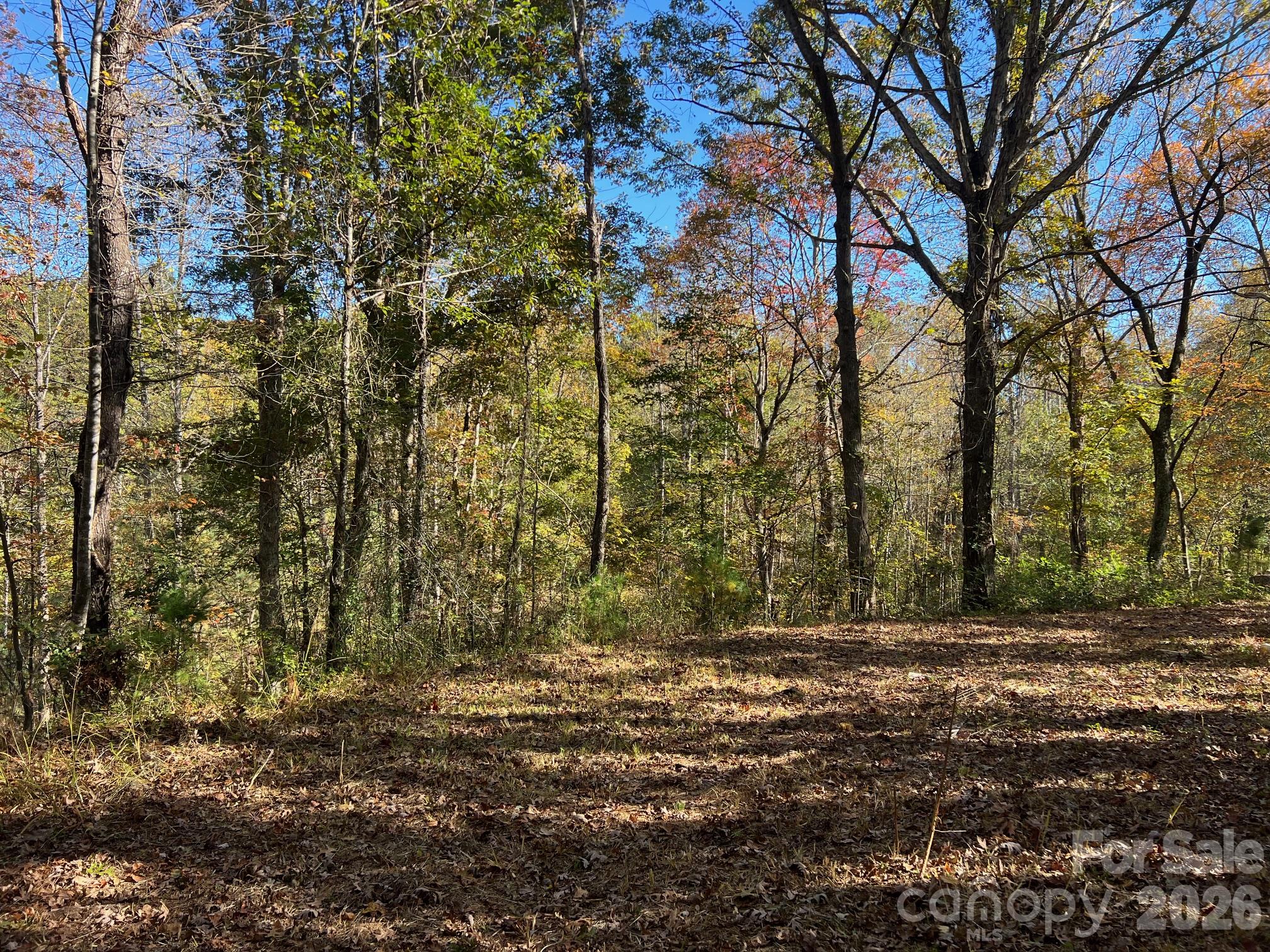 Lot at 0 Pea Patch Lane, Morganton, photo 3 of 9