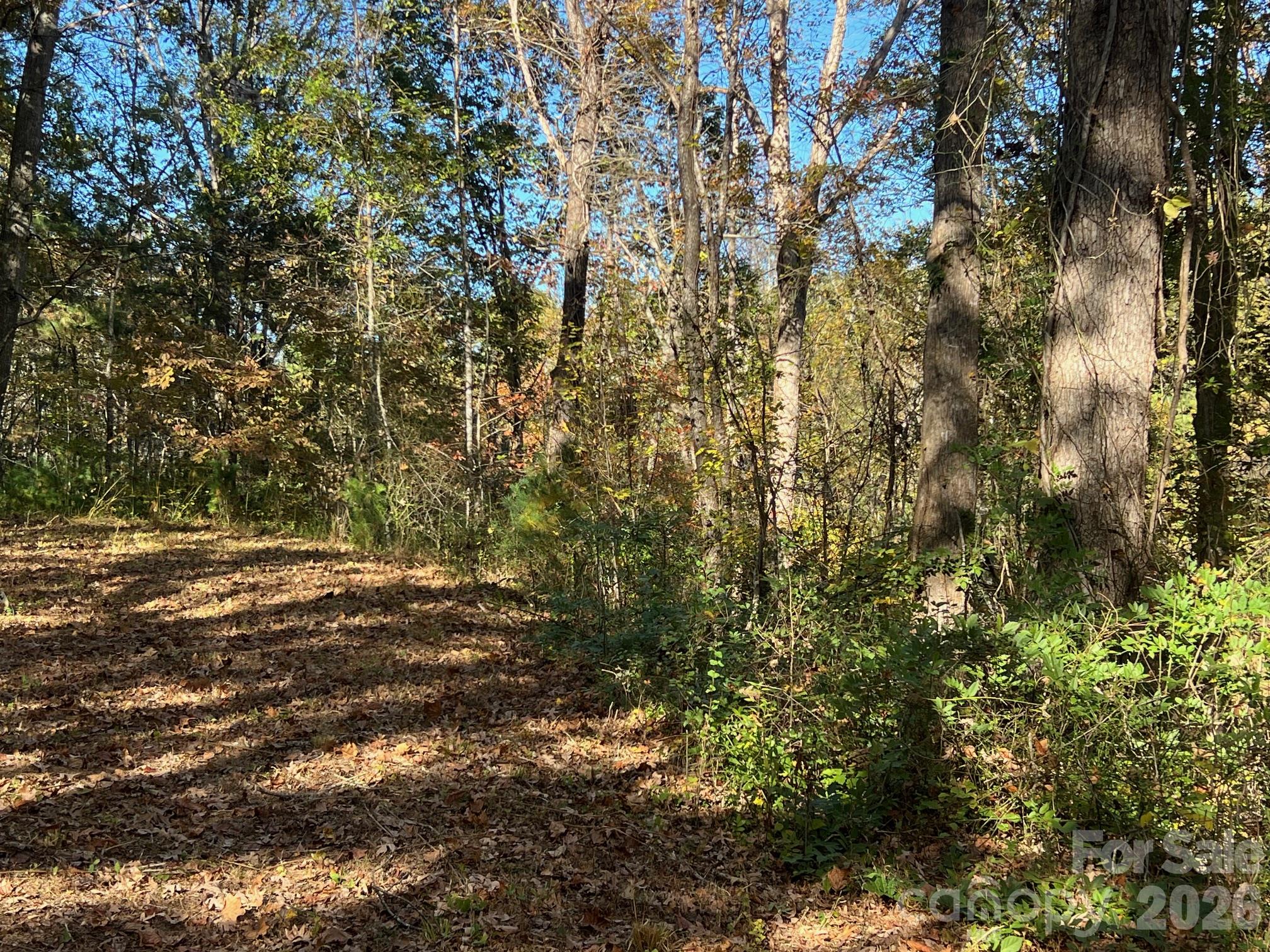 Lot at 0 Pea Patch Lane, Morganton, photo 7 of 9