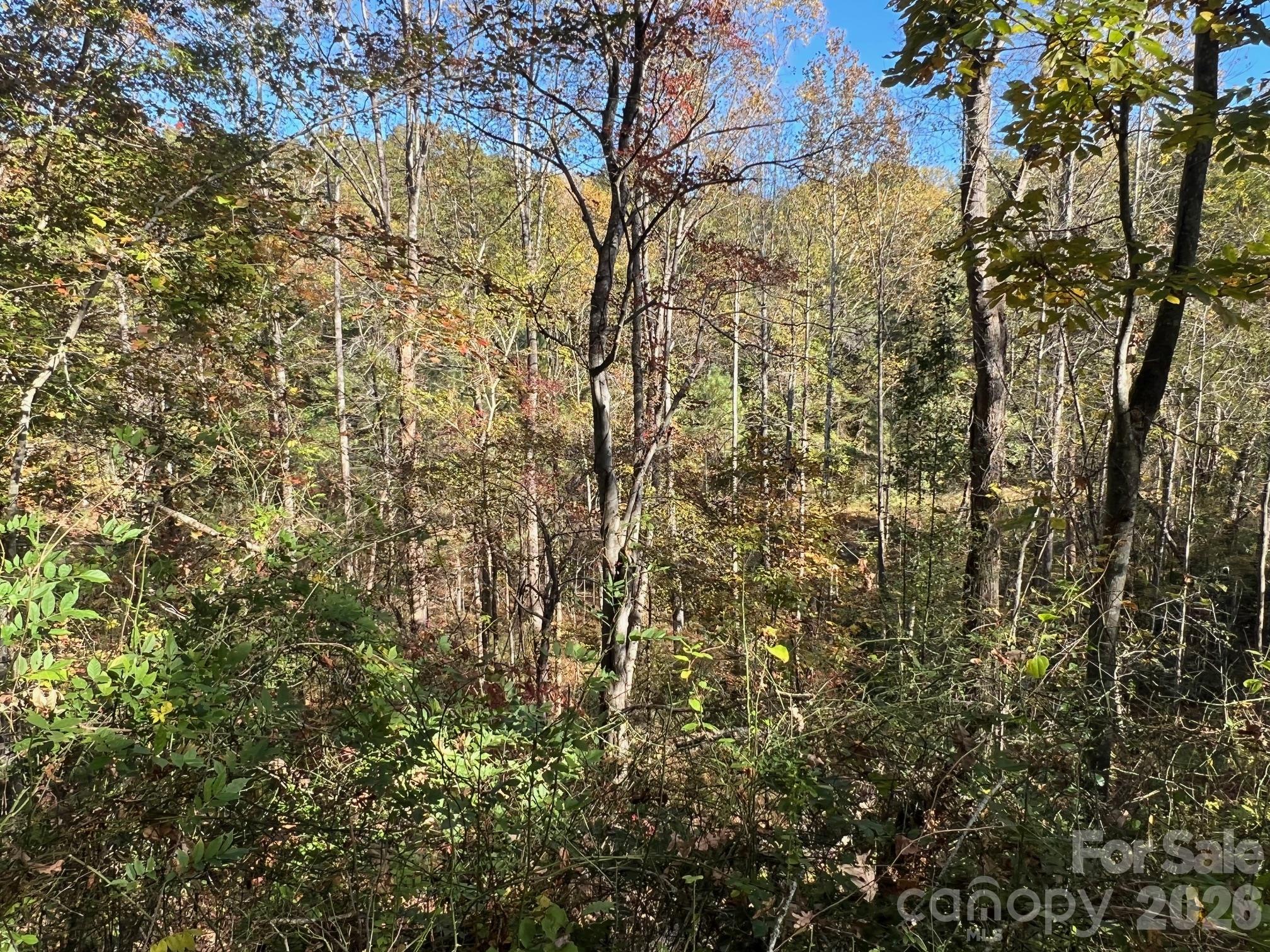 Lot at 0 Pea Patch Lane, Morganton, photo 8 of 9