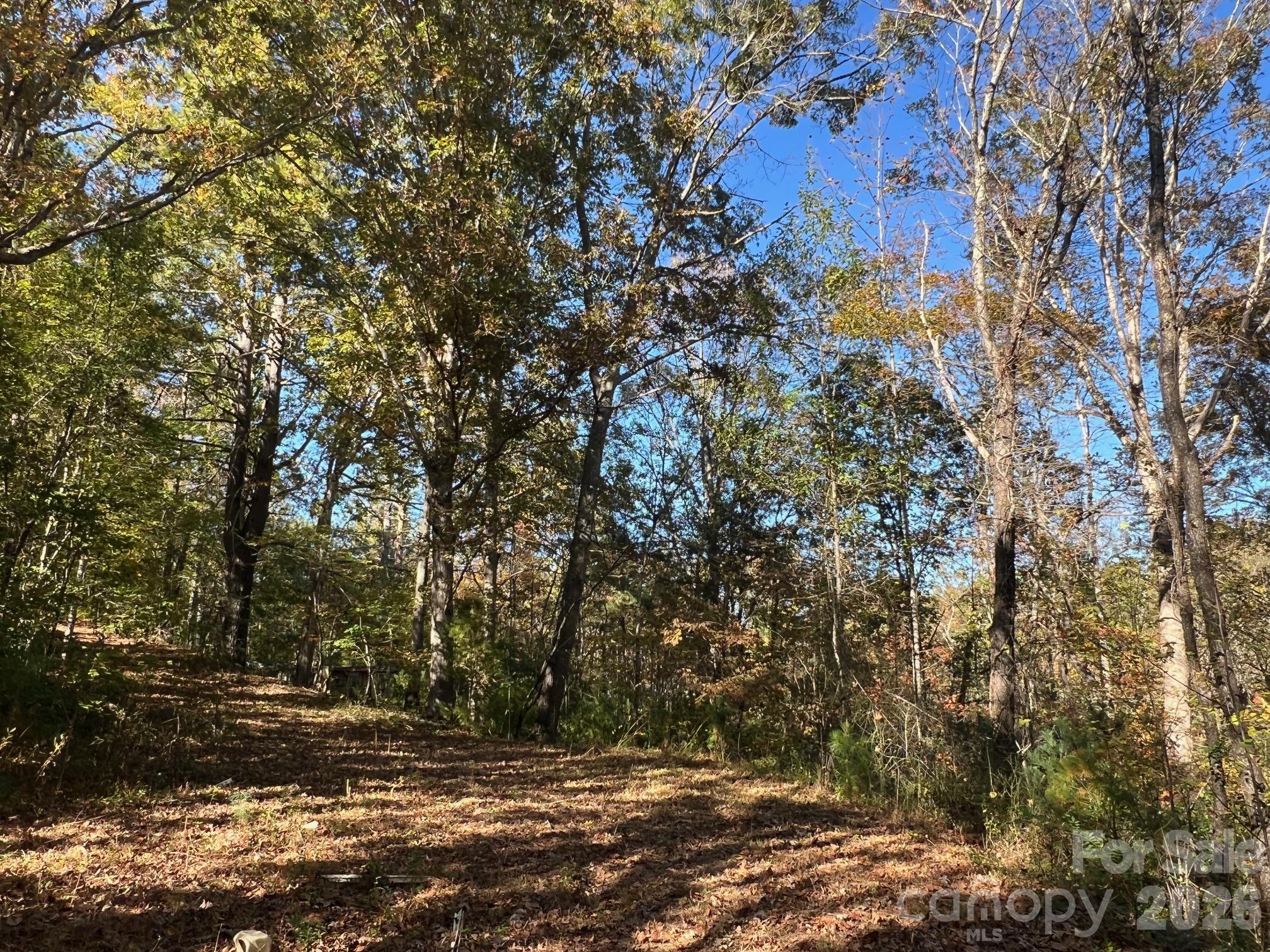 Lot at 0 Pea Patch Lane, Morganton, photo 9 of 9
