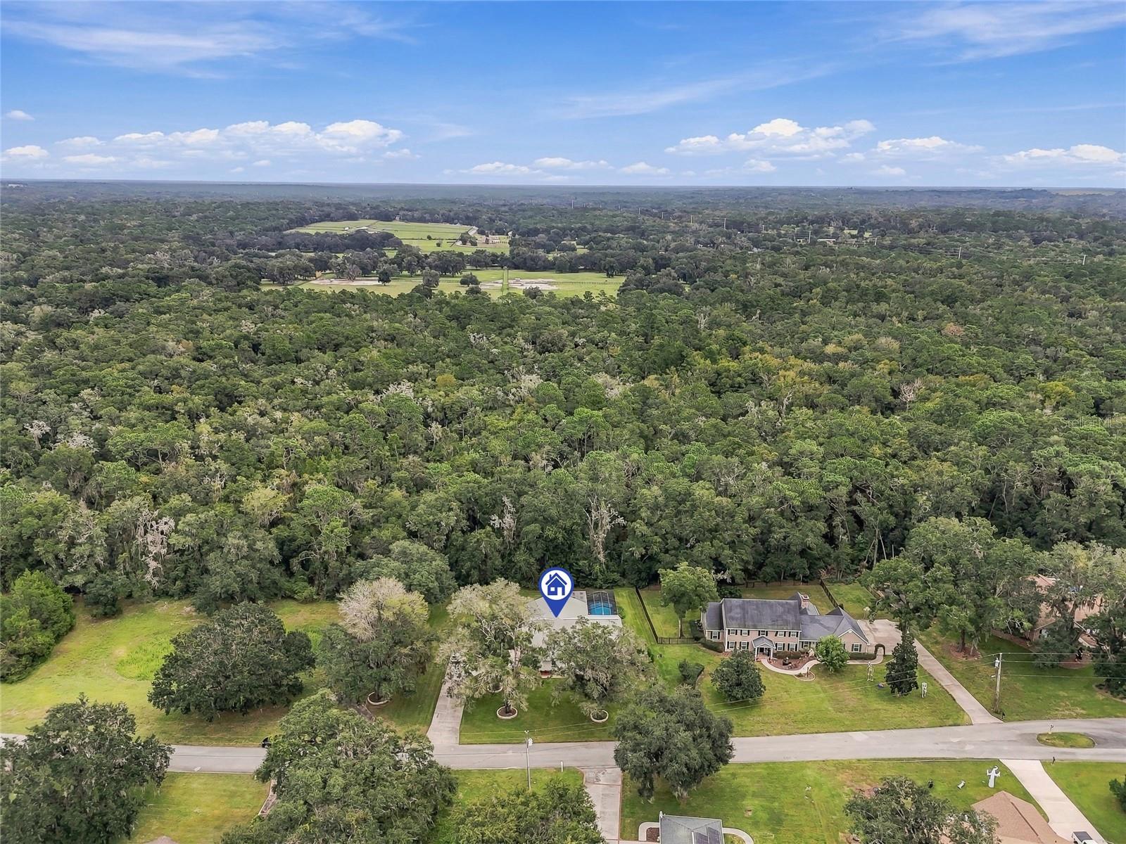 Conservation Acreage behind home - 9896 DOMINGO DR, BROOKSVILLE