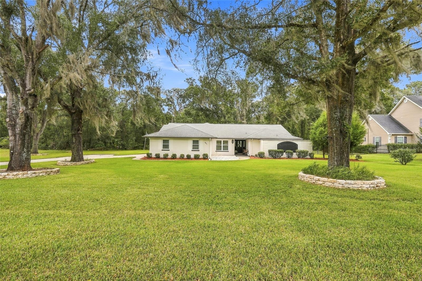 Mature Landscaping - 9896 DOMINGO DR, BROOKSVILLE