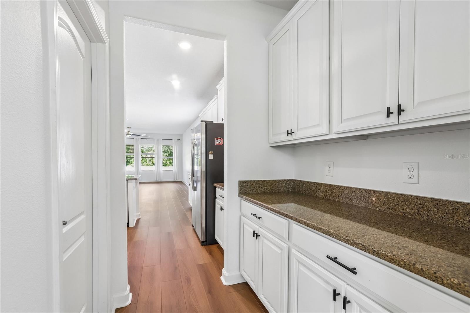 Butler's Pantry - 19430 PADDOCK VIEW DR, TAMPA