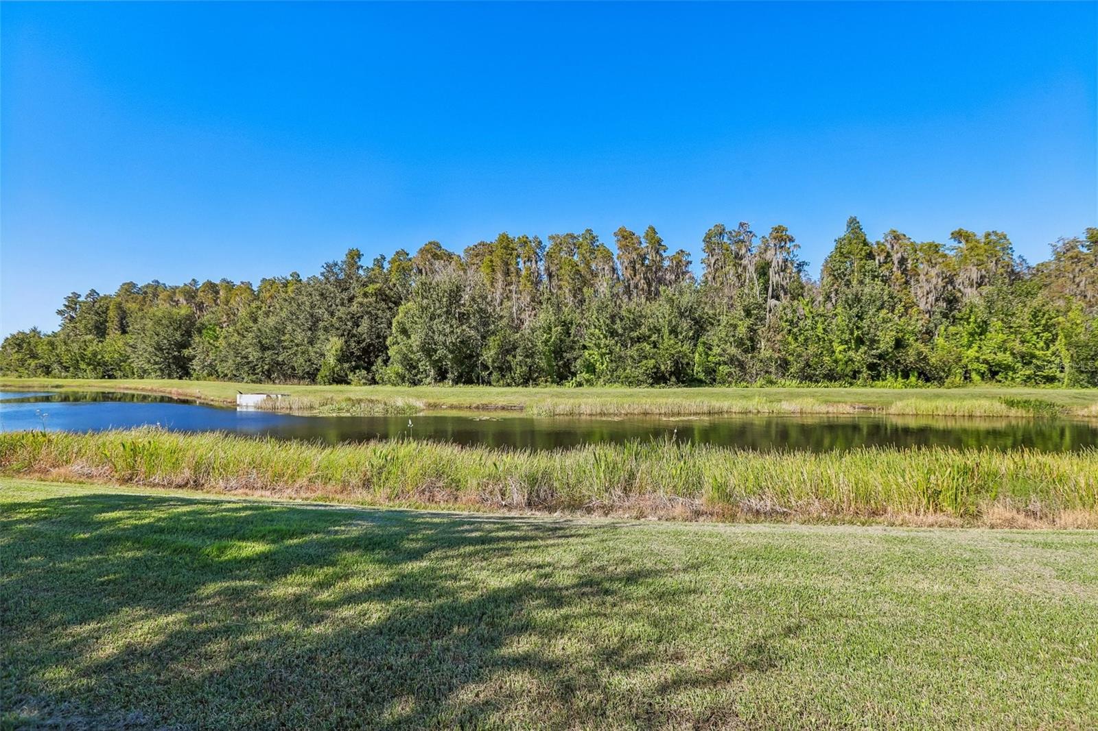 Single Family Residence at 19430 PADDOCK VIEW DR, TAMPA, photo 41 of 49