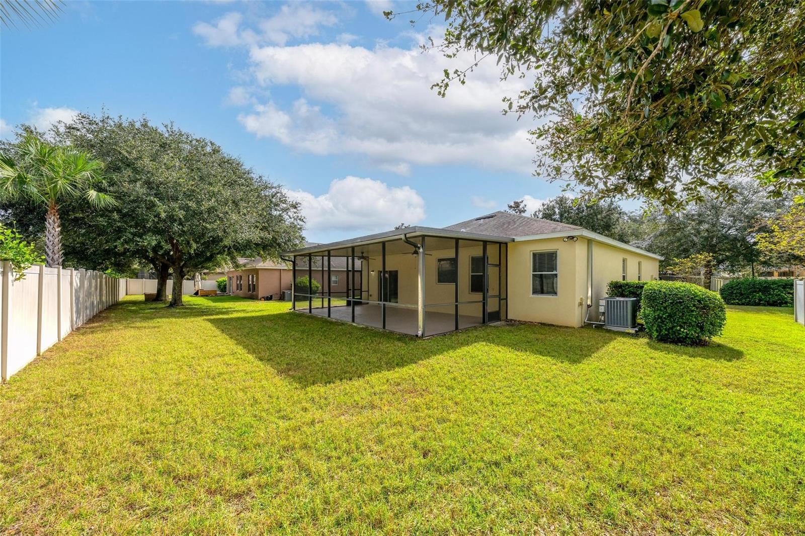 Back View - 21413 SULLIVAN RANCH BLVD, MOUNT DORA