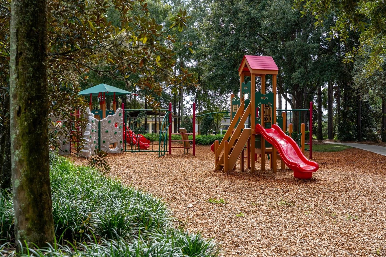 Playground - 21413 SULLIVAN RANCH BLVD, MOUNT DORA