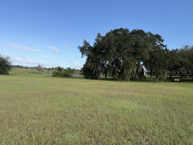 Land at 9833 PALMENTO WAY, CLERMONT, photo 2 of 4